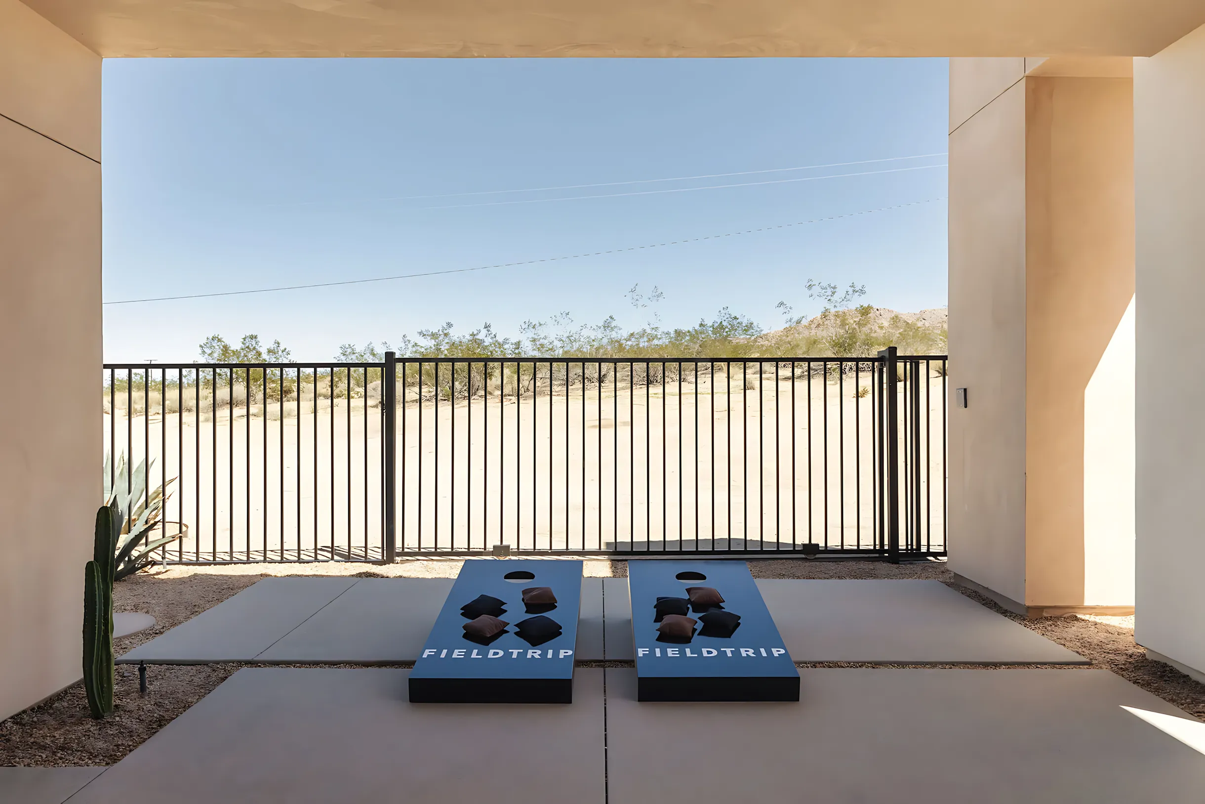 Wander Joshua Tree Pinnacle #46