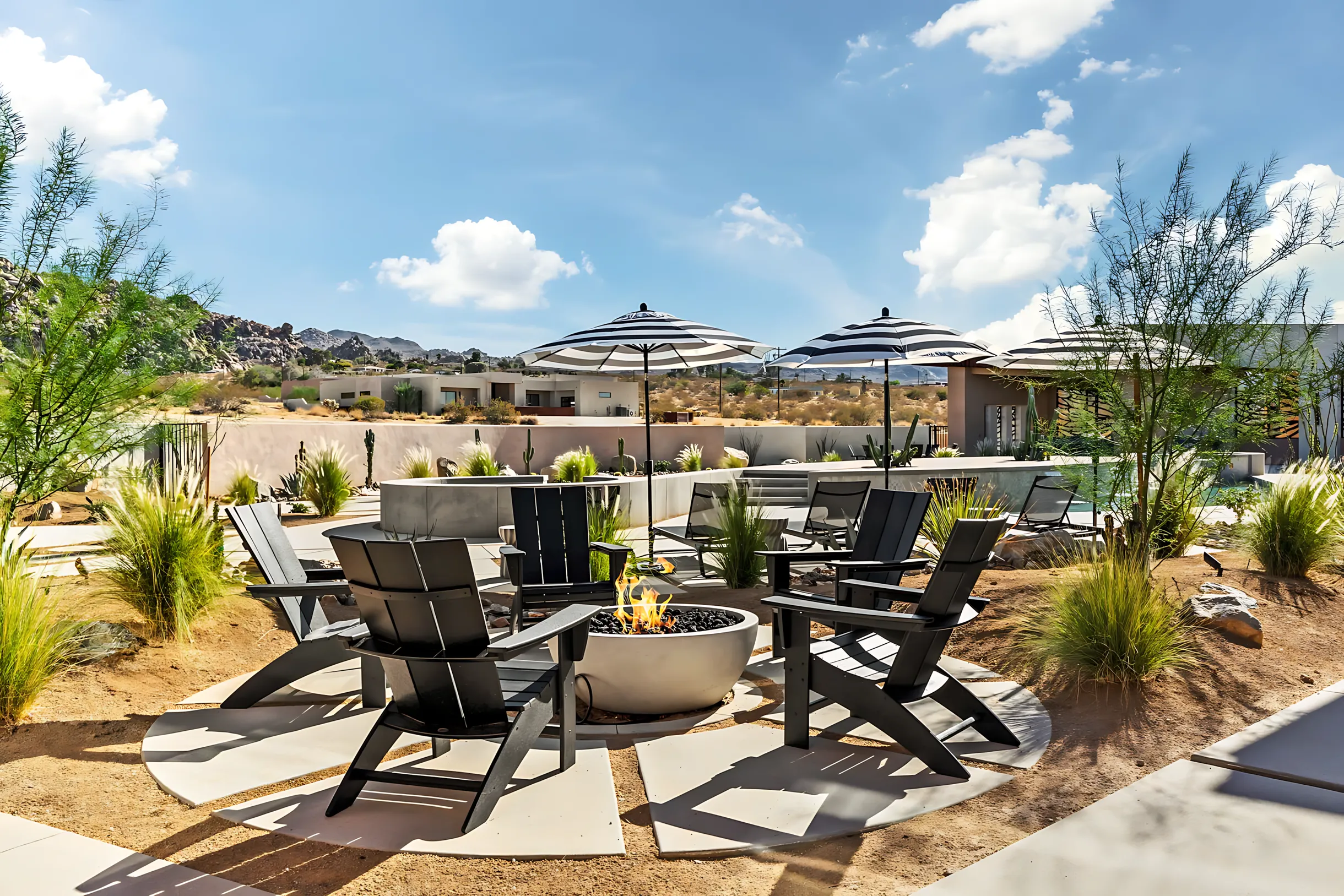 Wander Joshua Tree Peaks #45