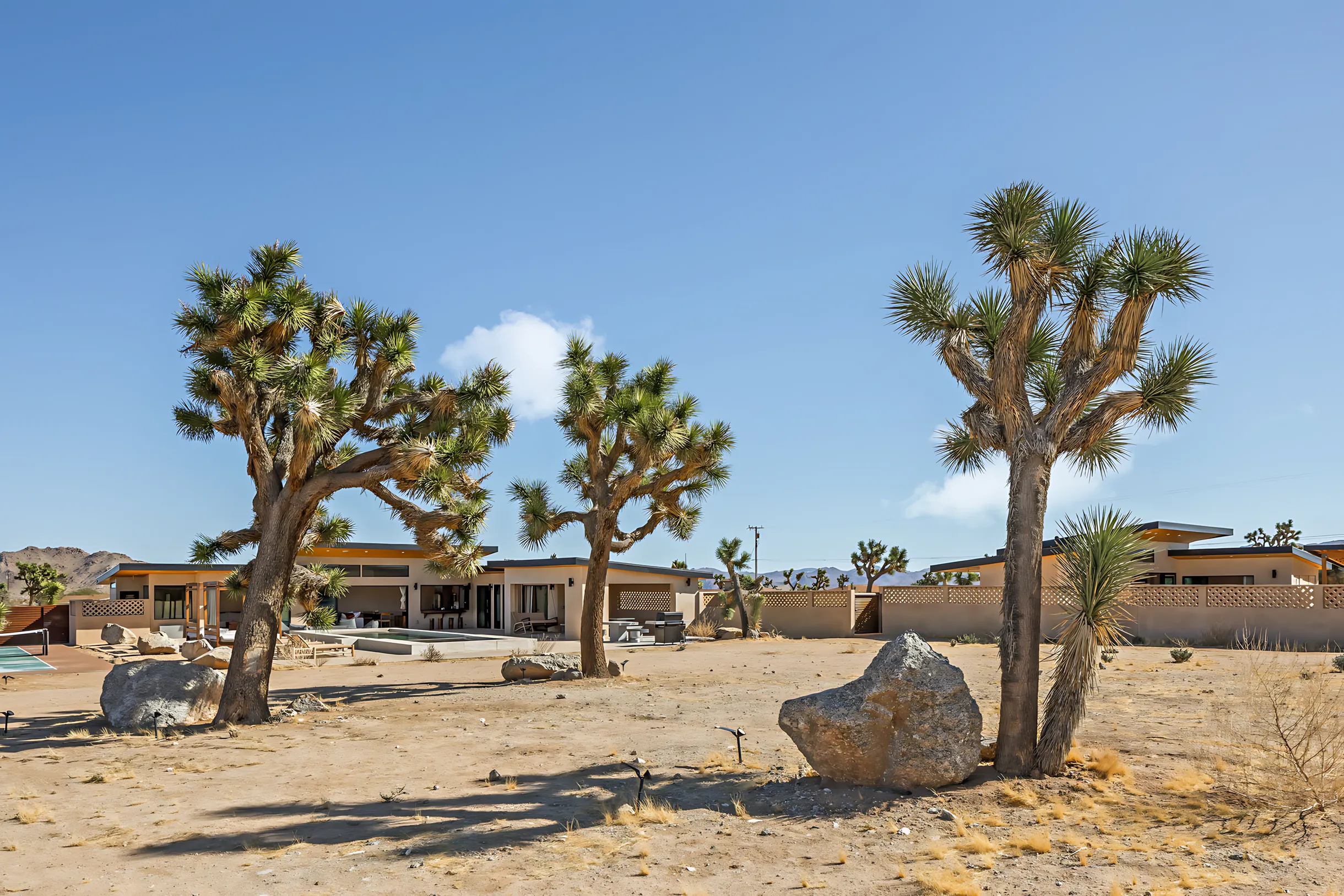 Wander Joshua Tree Sage #44