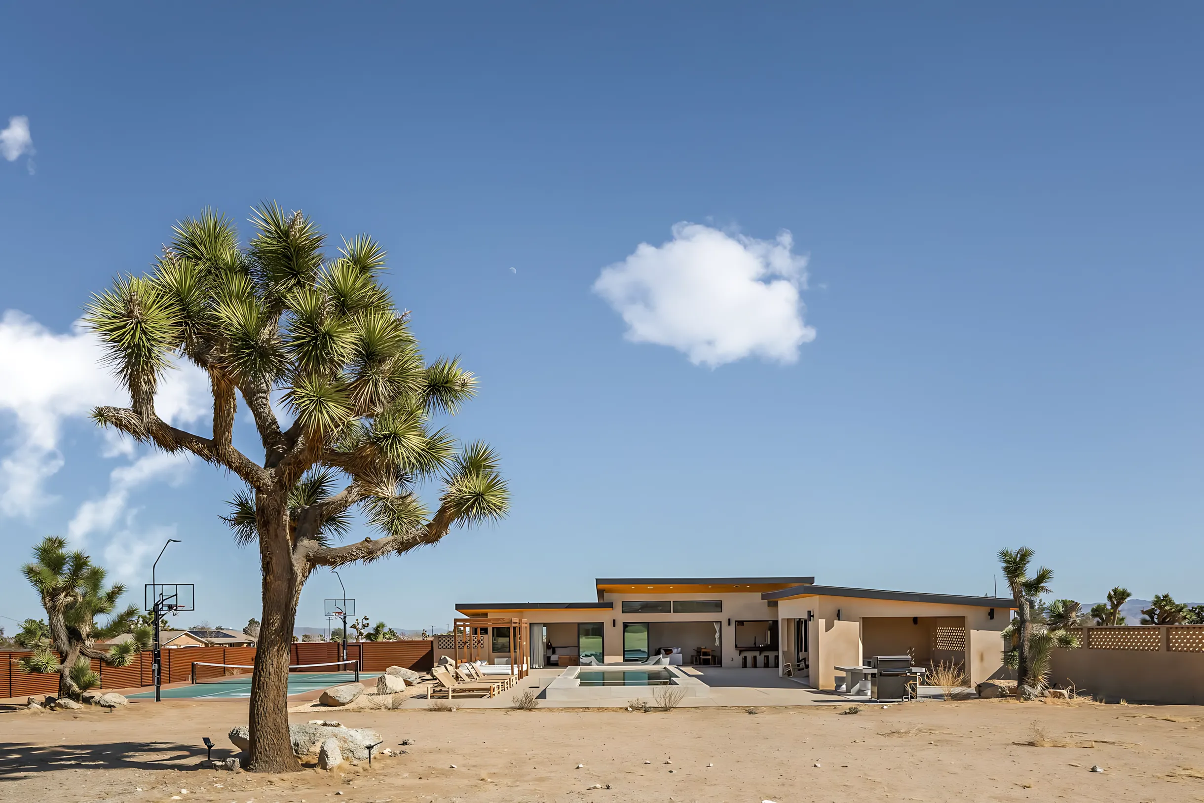 Wander Joshua Tree Sage #5