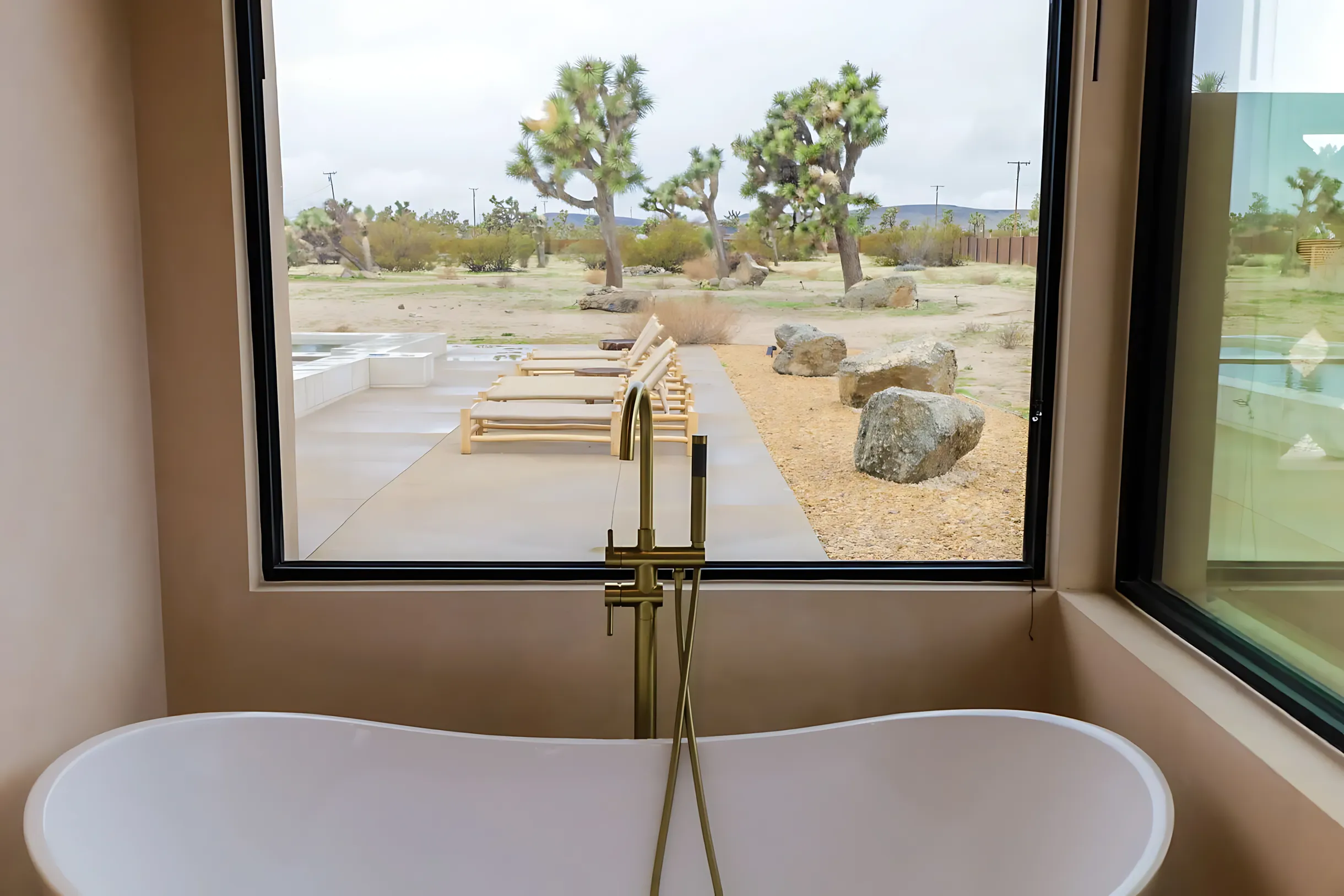 Wander Joshua Tree Sage #24