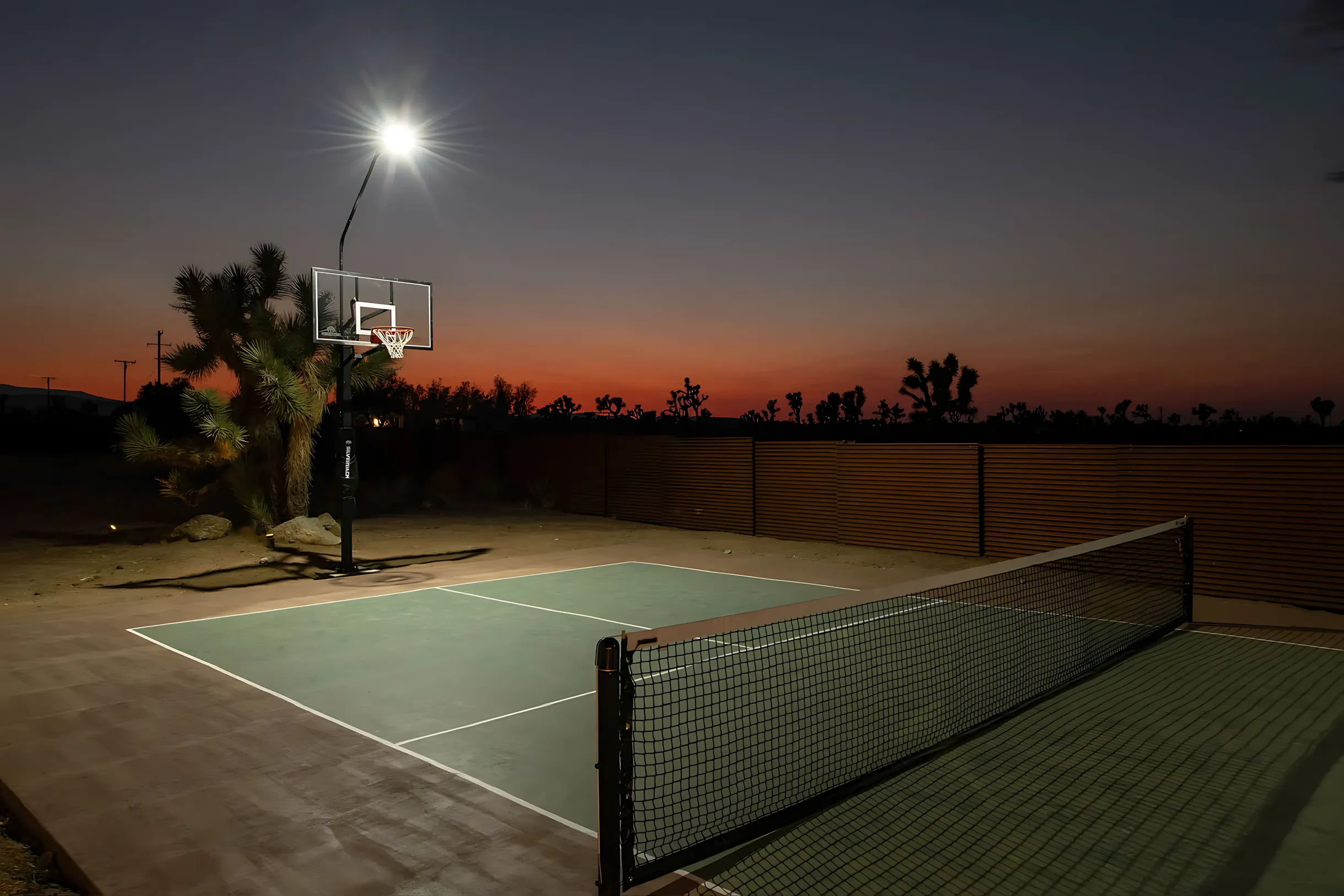 Wander Joshua Tree Sage #33