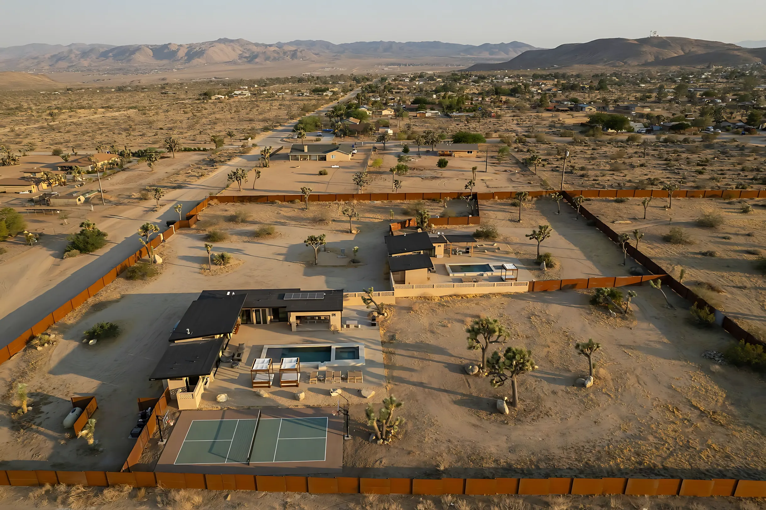 Wander Joshua Tree Sage #42