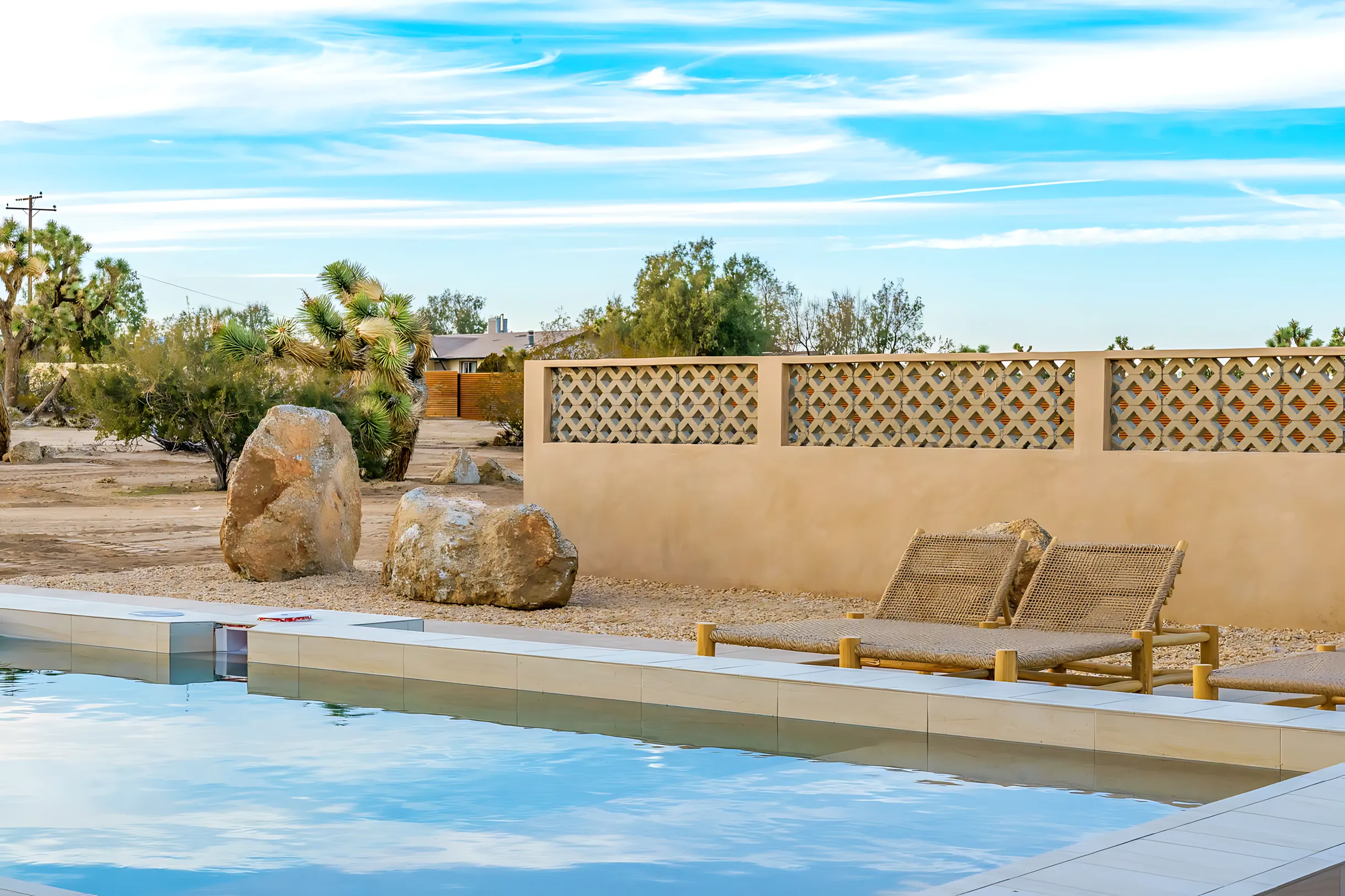 Wander Joshua Tree Serenity #44