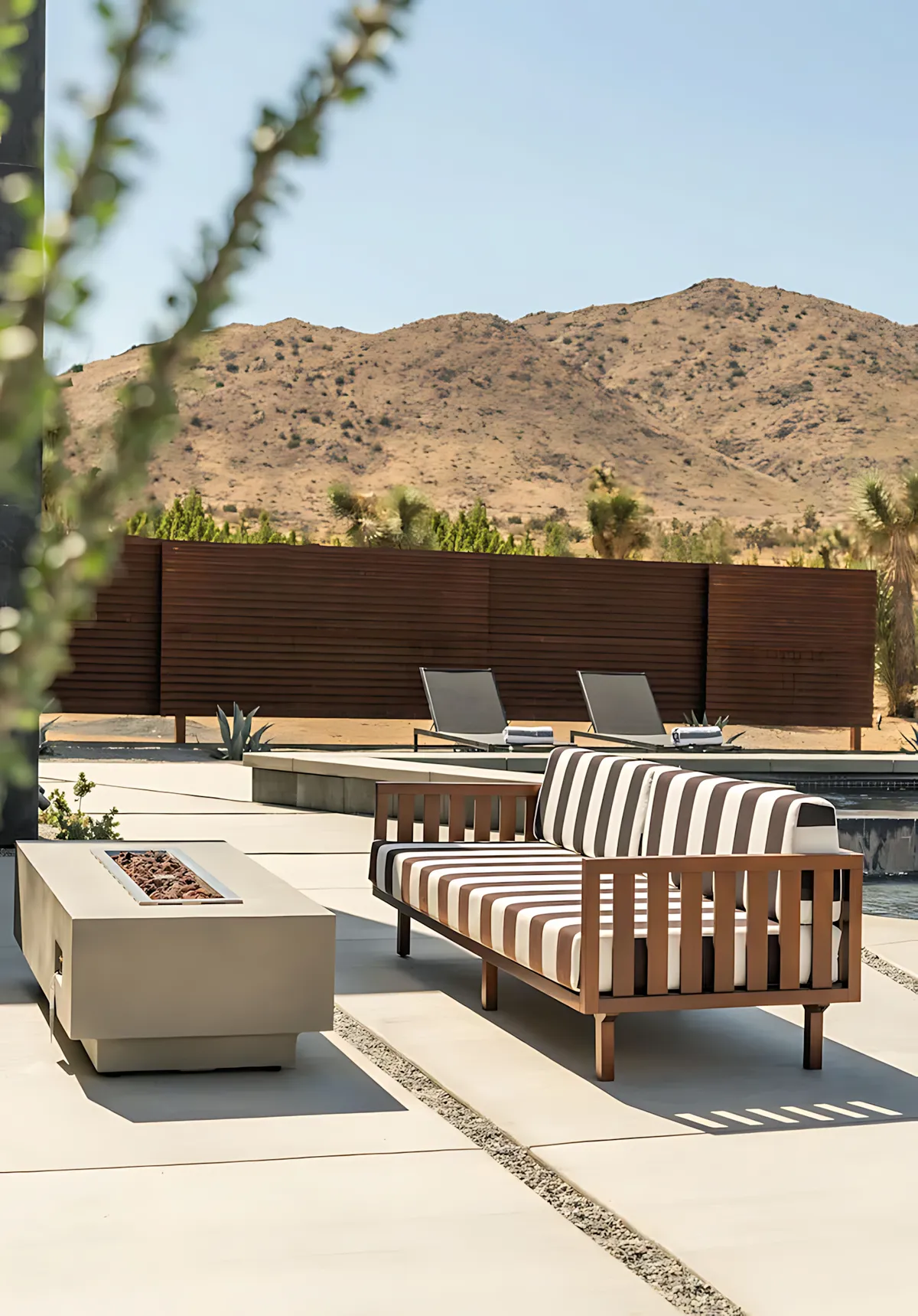 Wander Joshua Tree Majesty #37