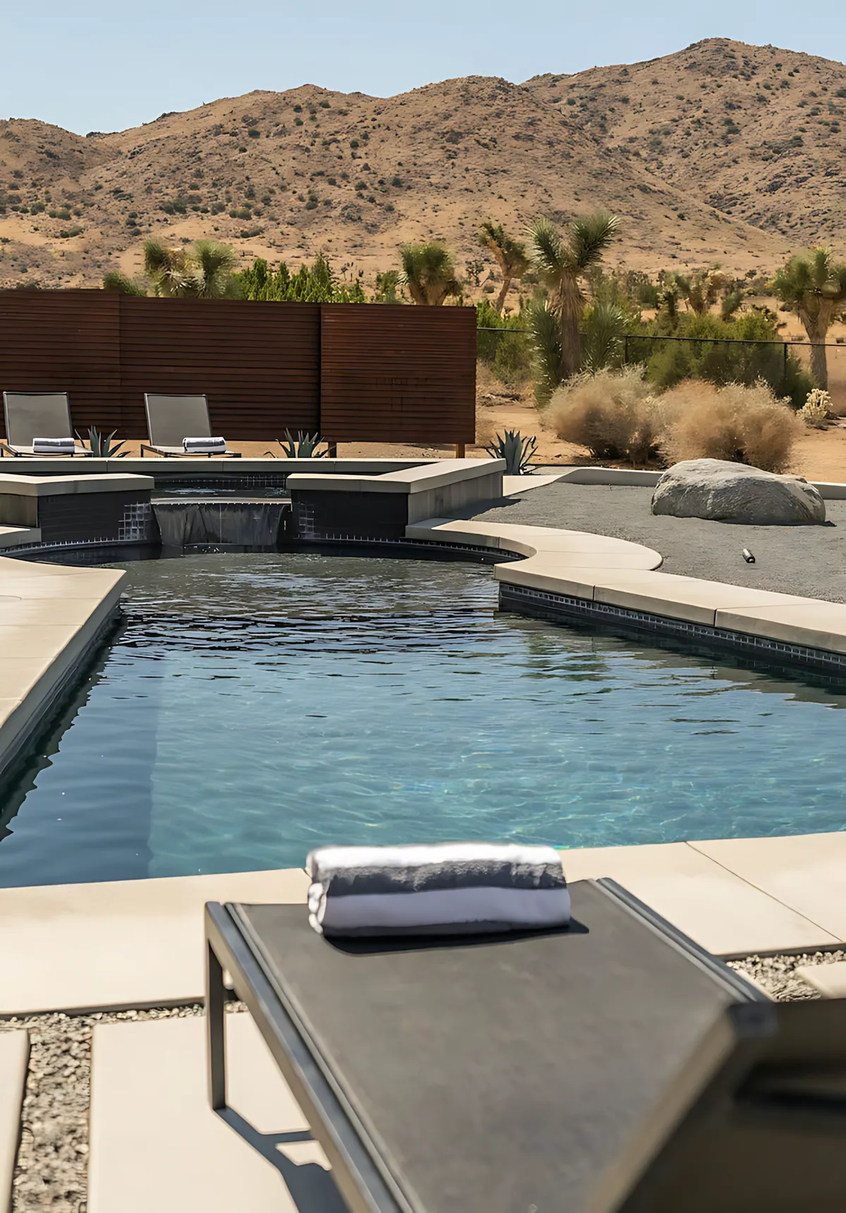 Wander Joshua Tree Majesty #38