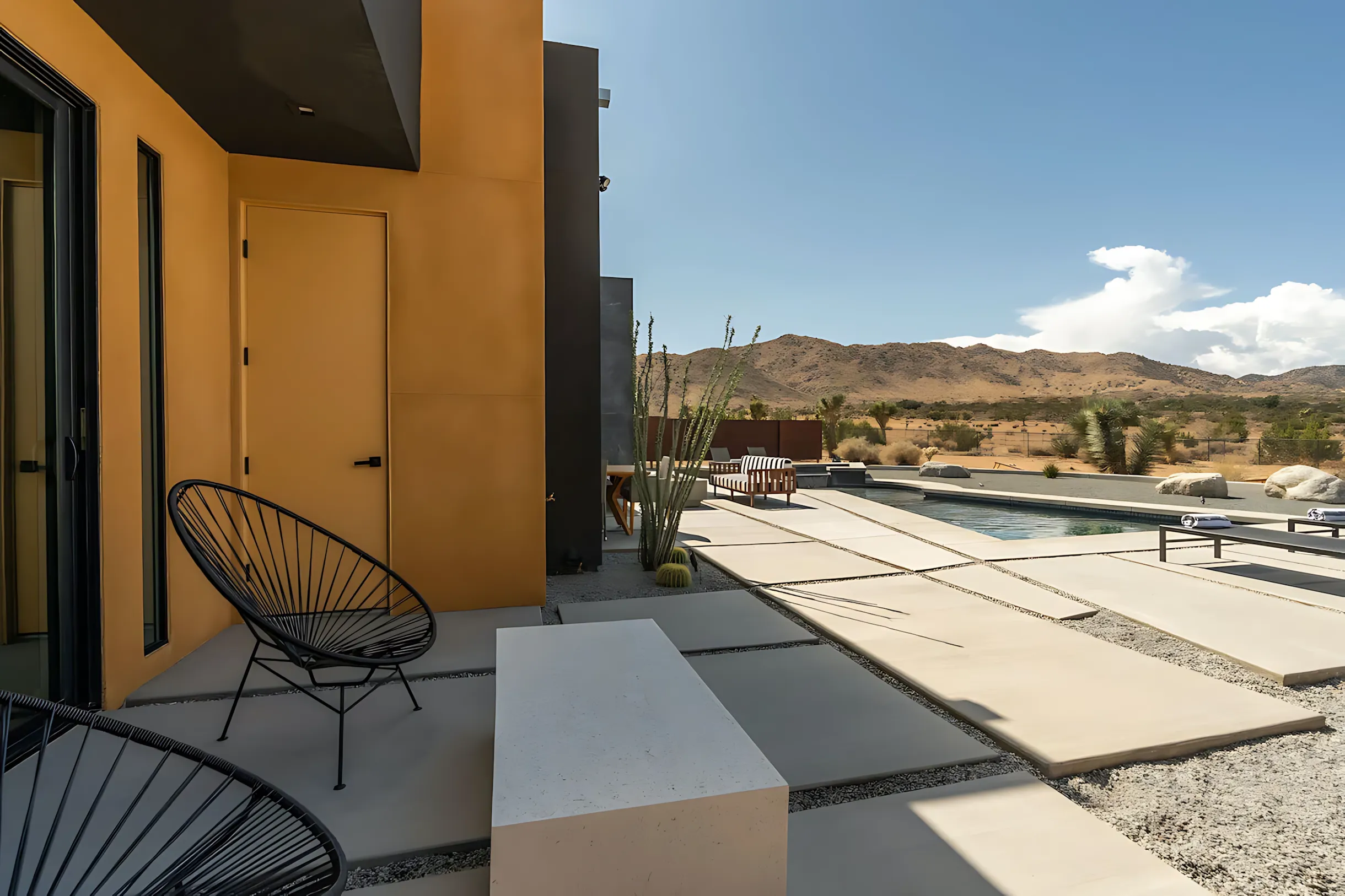 Wander Joshua Tree Majesty #51