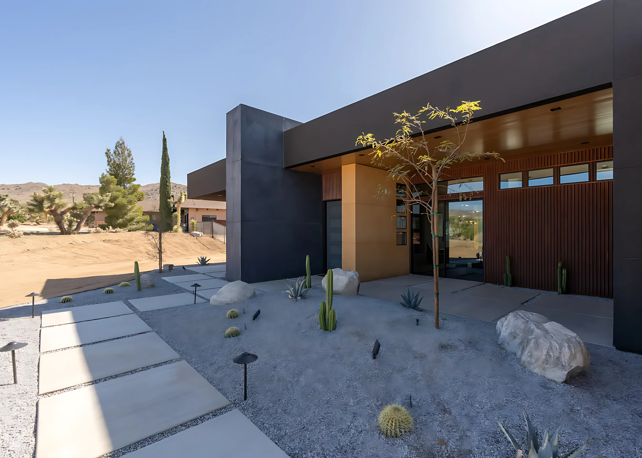 Wander Joshua Tree Majesty #45