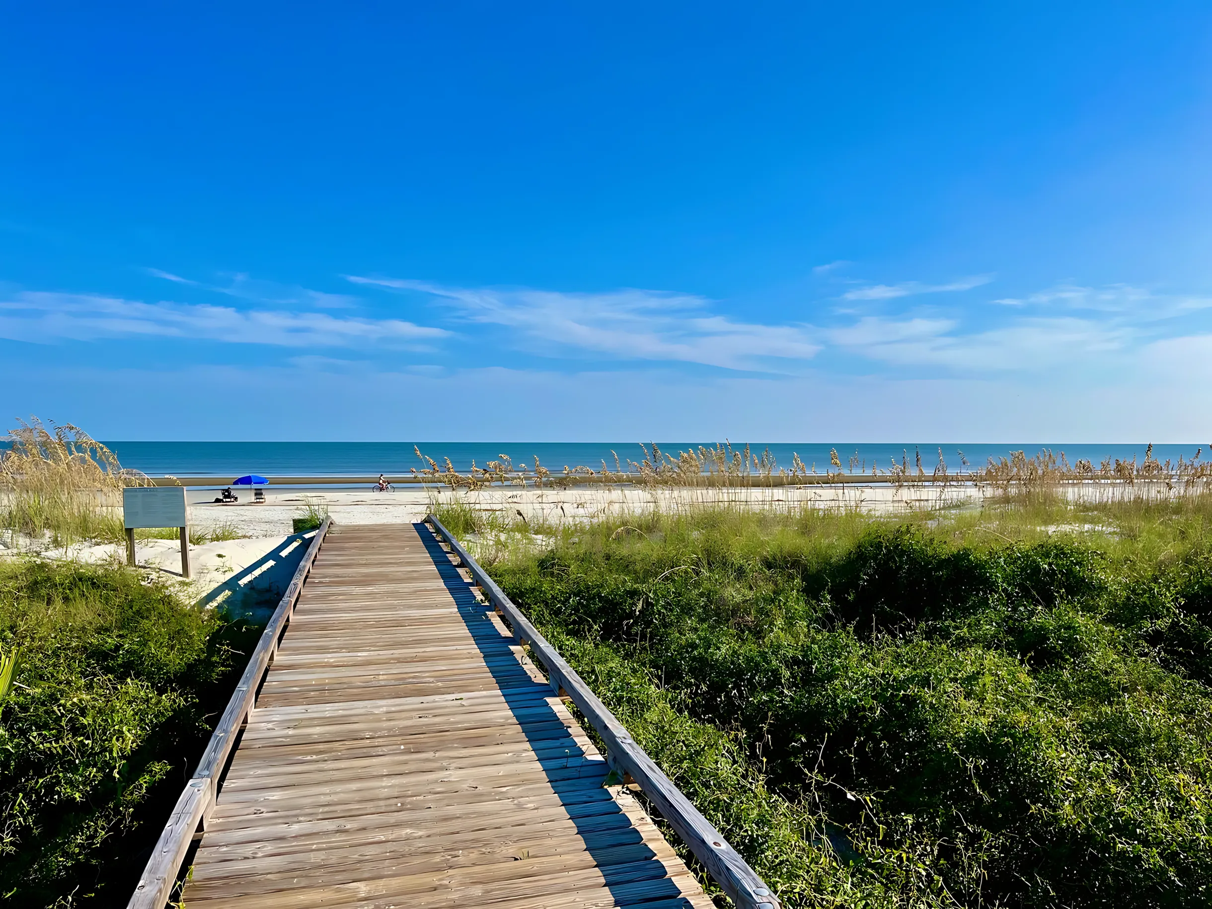 Wander Hilton Head Oak #58