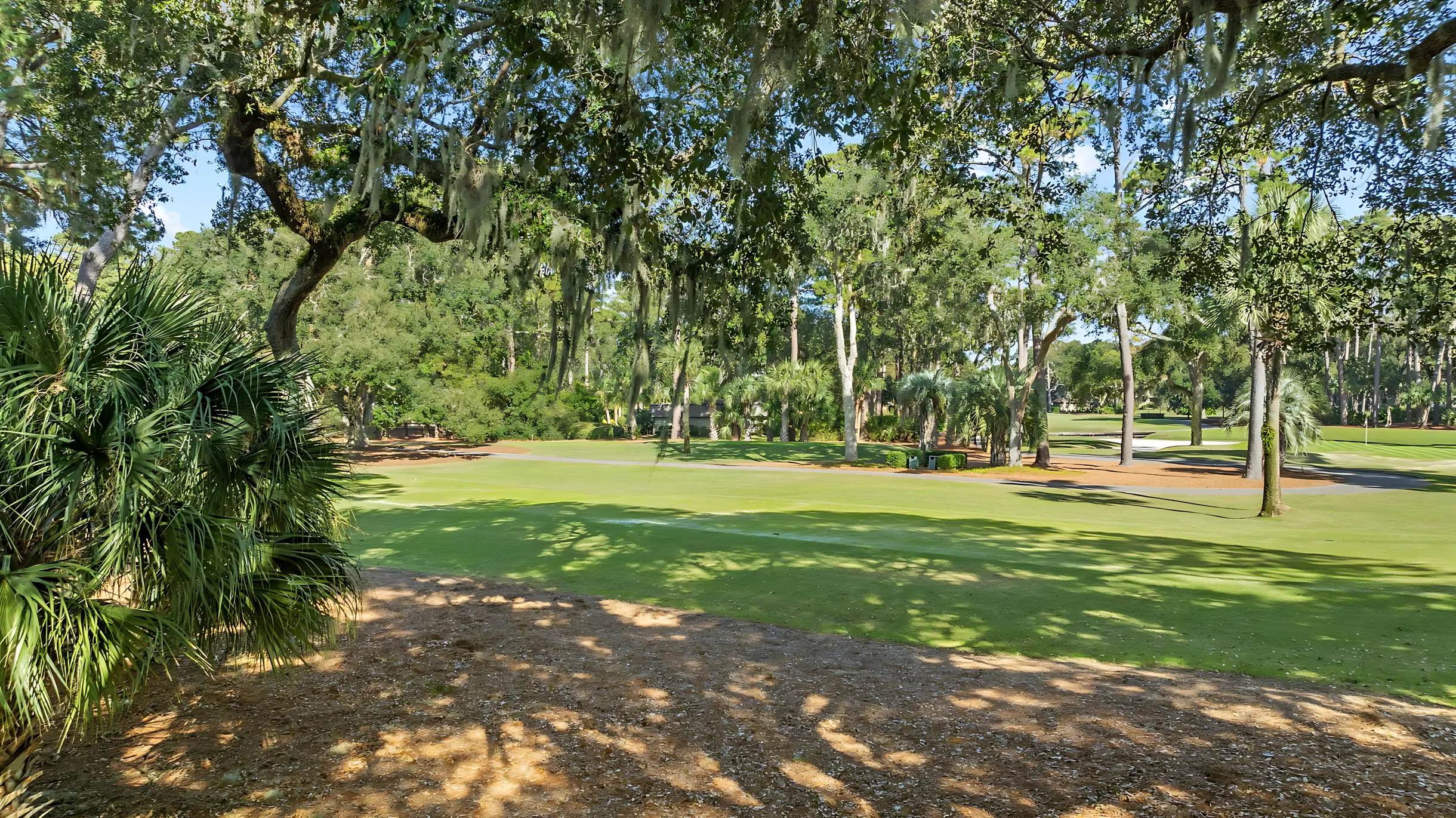 Wander Hilton Head Oak #51