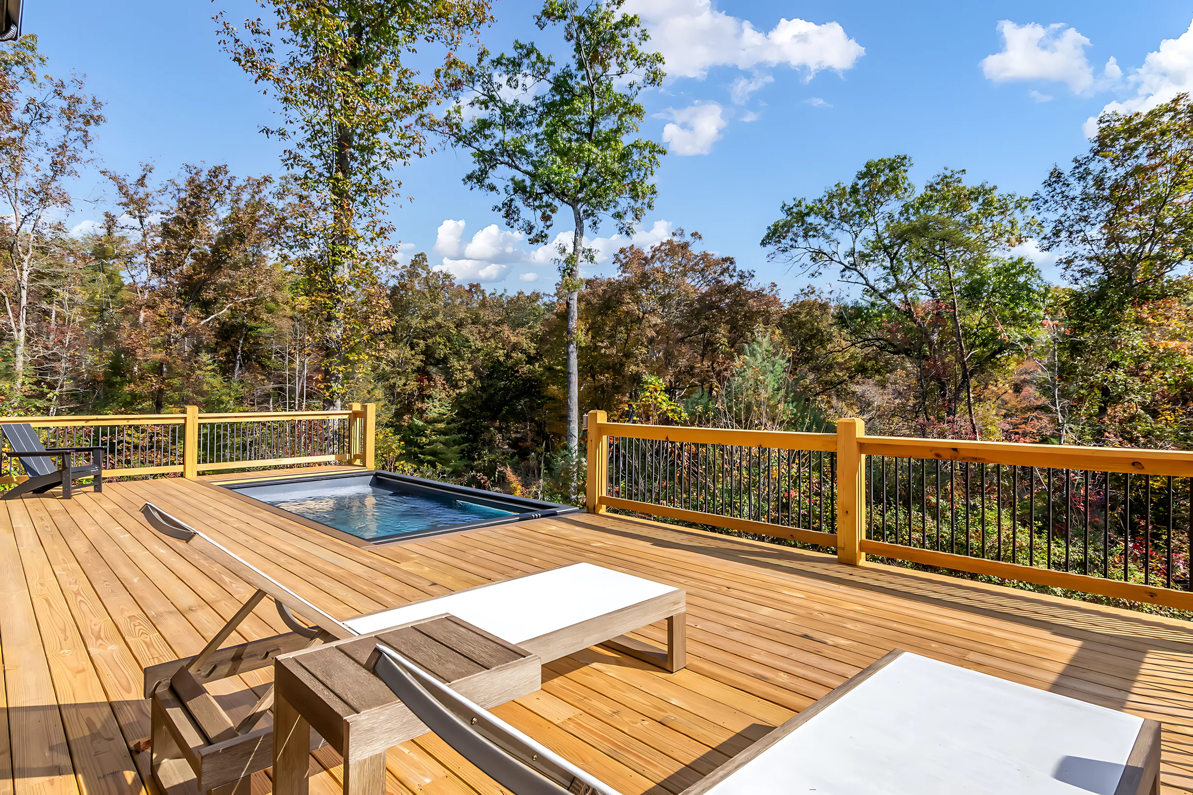 Wander Blue Ridge Oaks #55