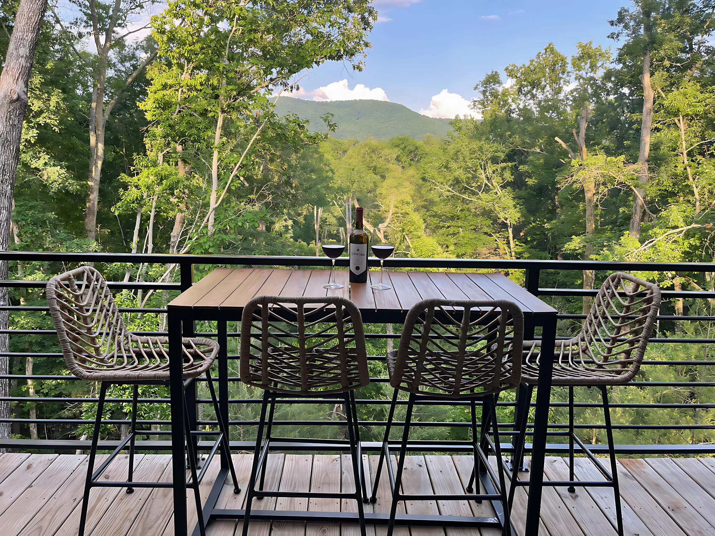 Wander Ellijay Modern #60