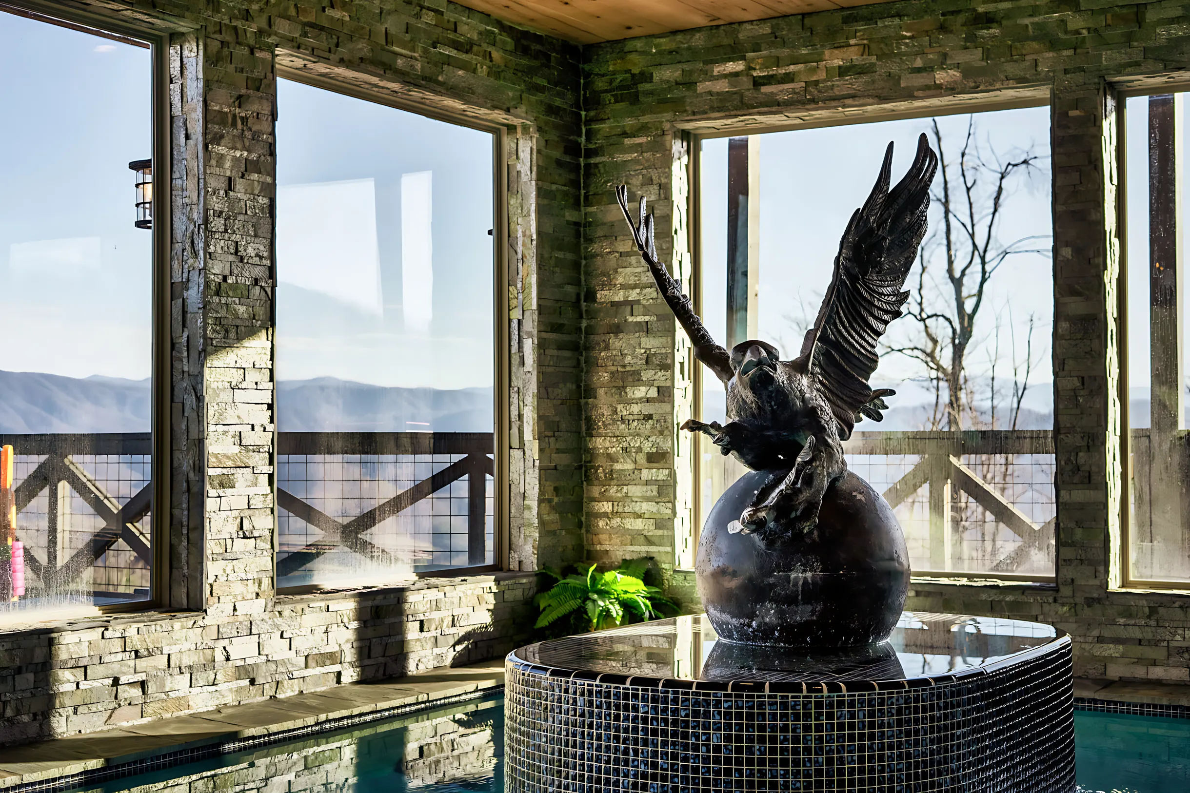 Wander Pigeon Forge Eagle #49