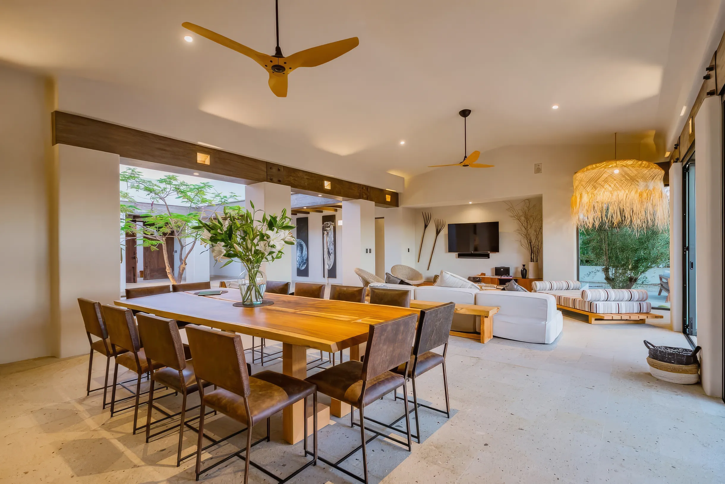 Wander Cabo San Lucas #21