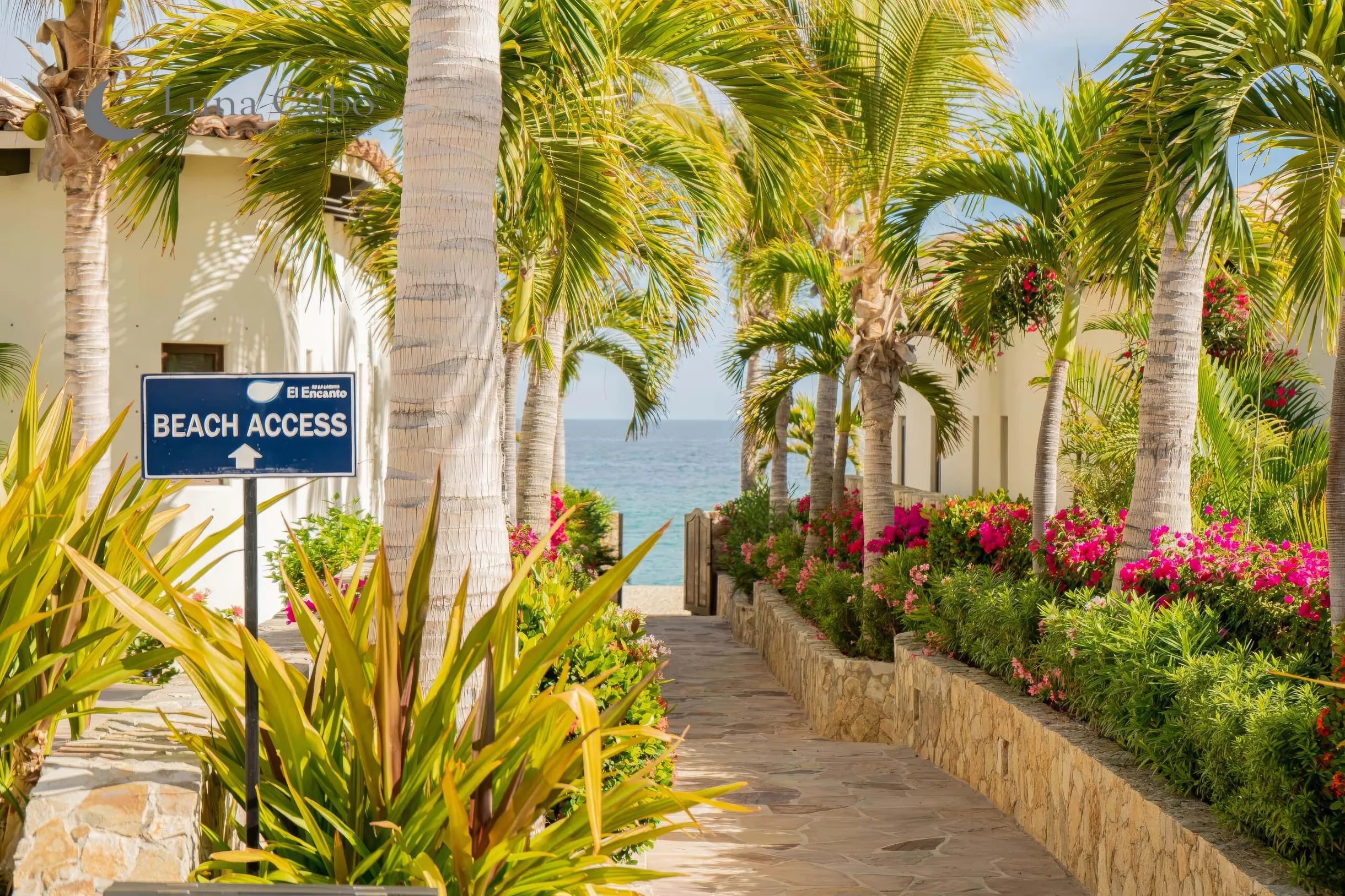 Wander Cabo Estrella #24