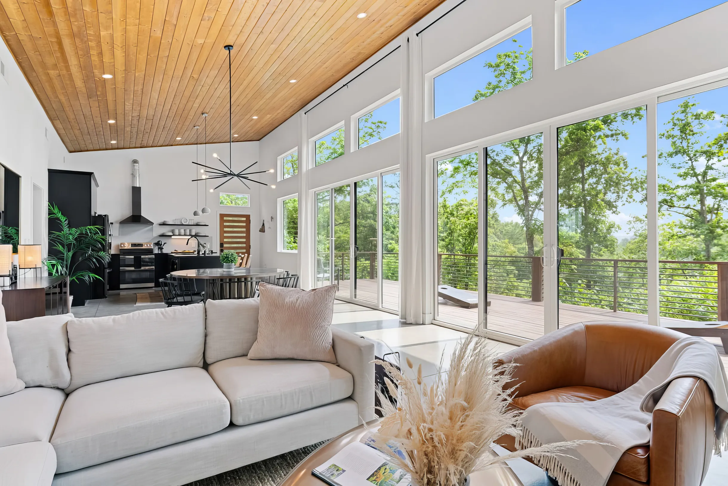 Wander Alexander Mountain #4