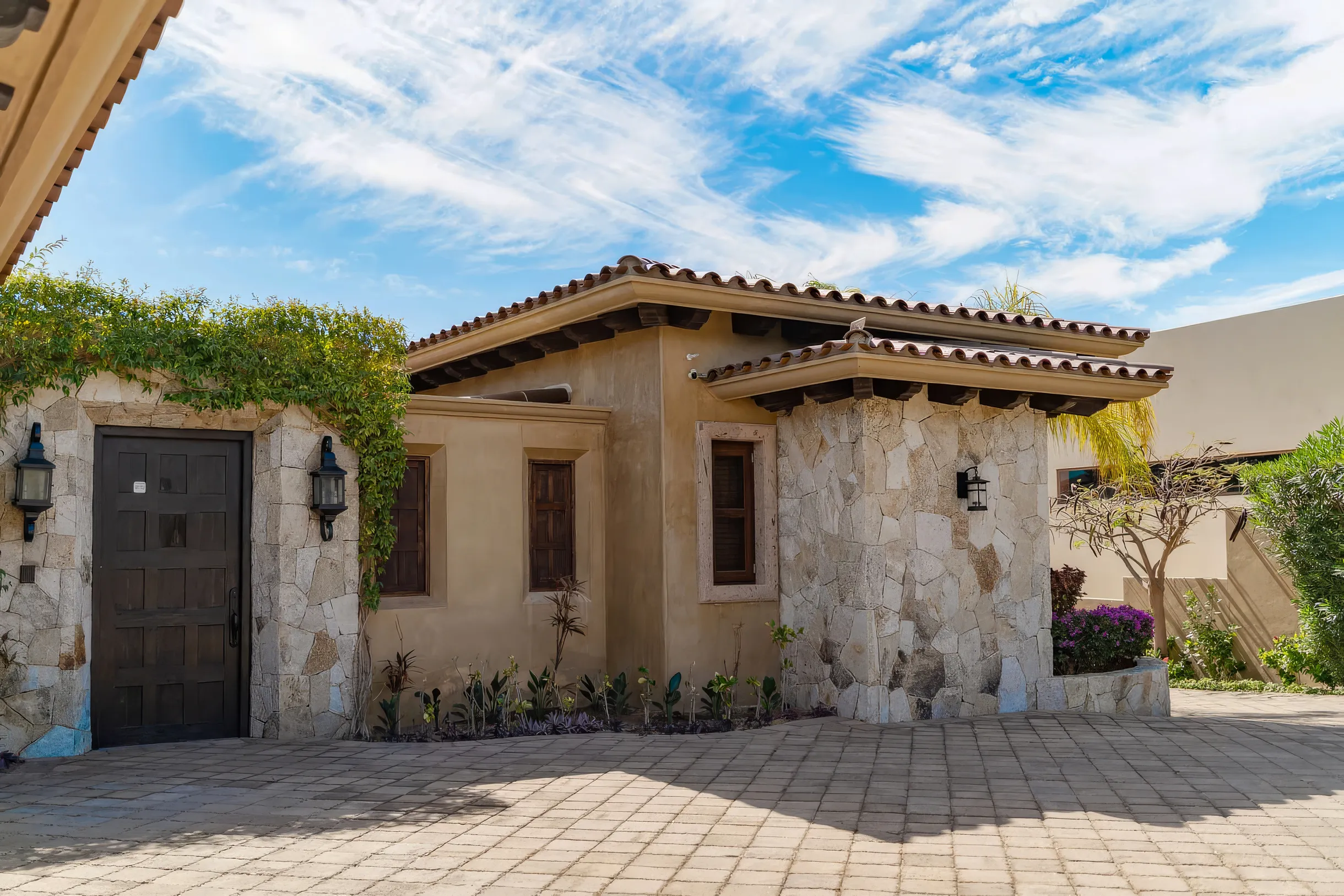 Wander Puerto Los Cabos #5