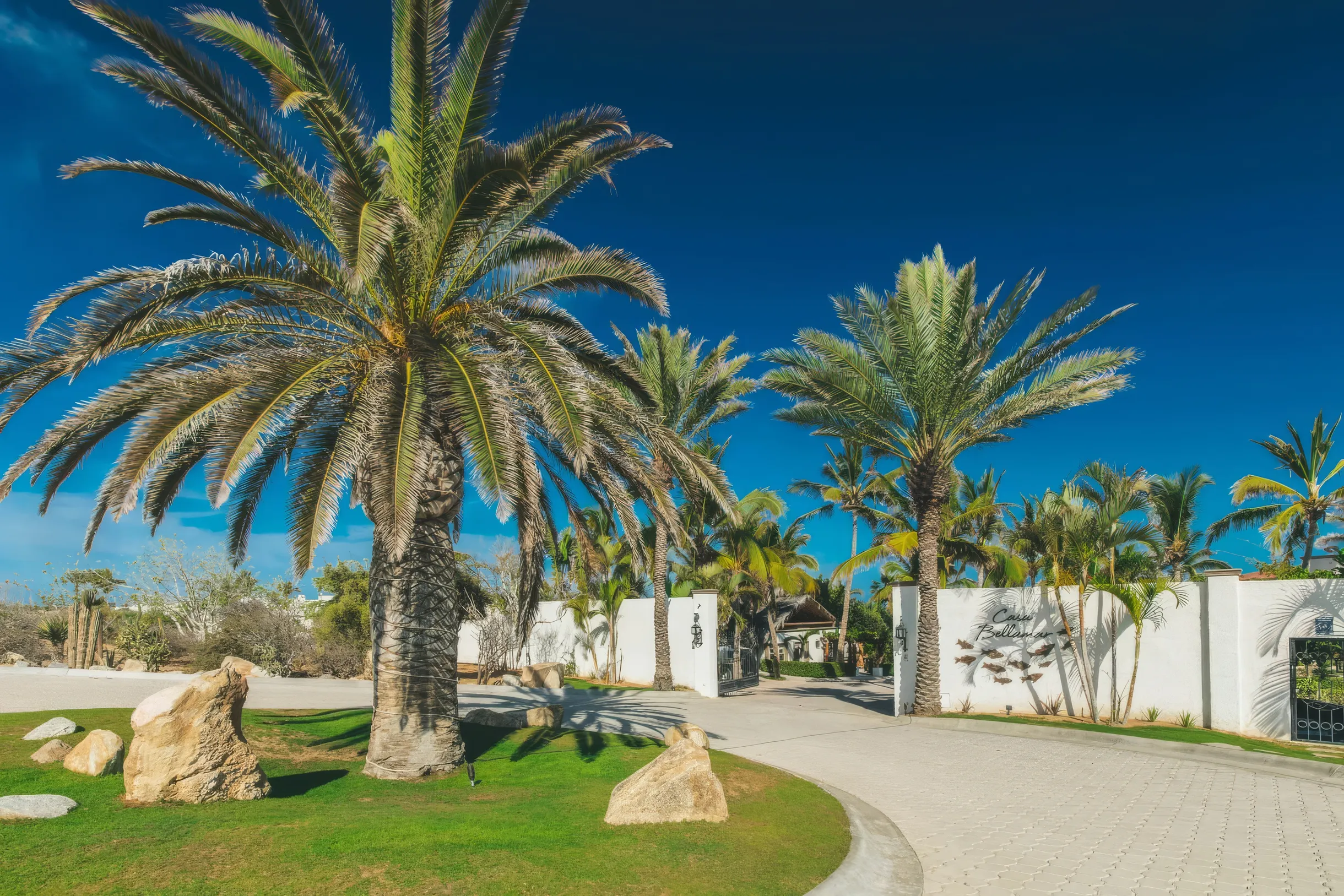 Wander Cabo Beachfront #5
