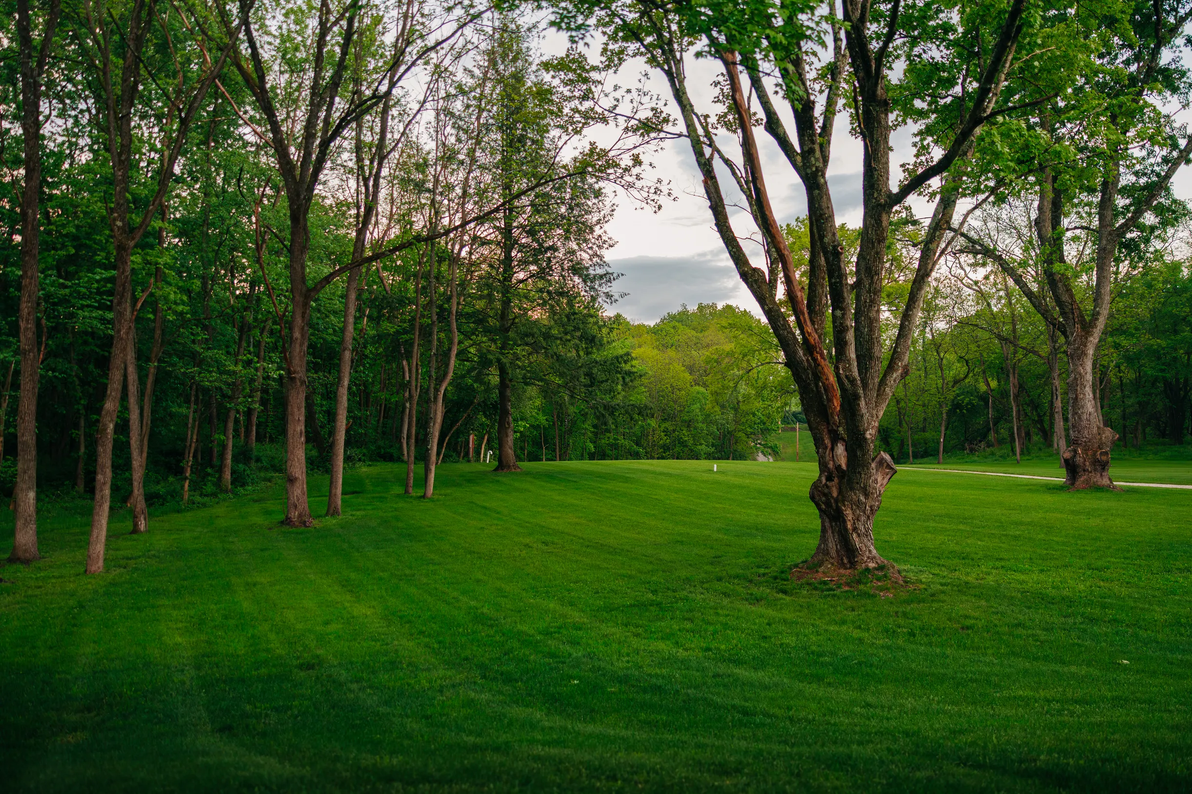 Wander Big Prairie Retreat #50