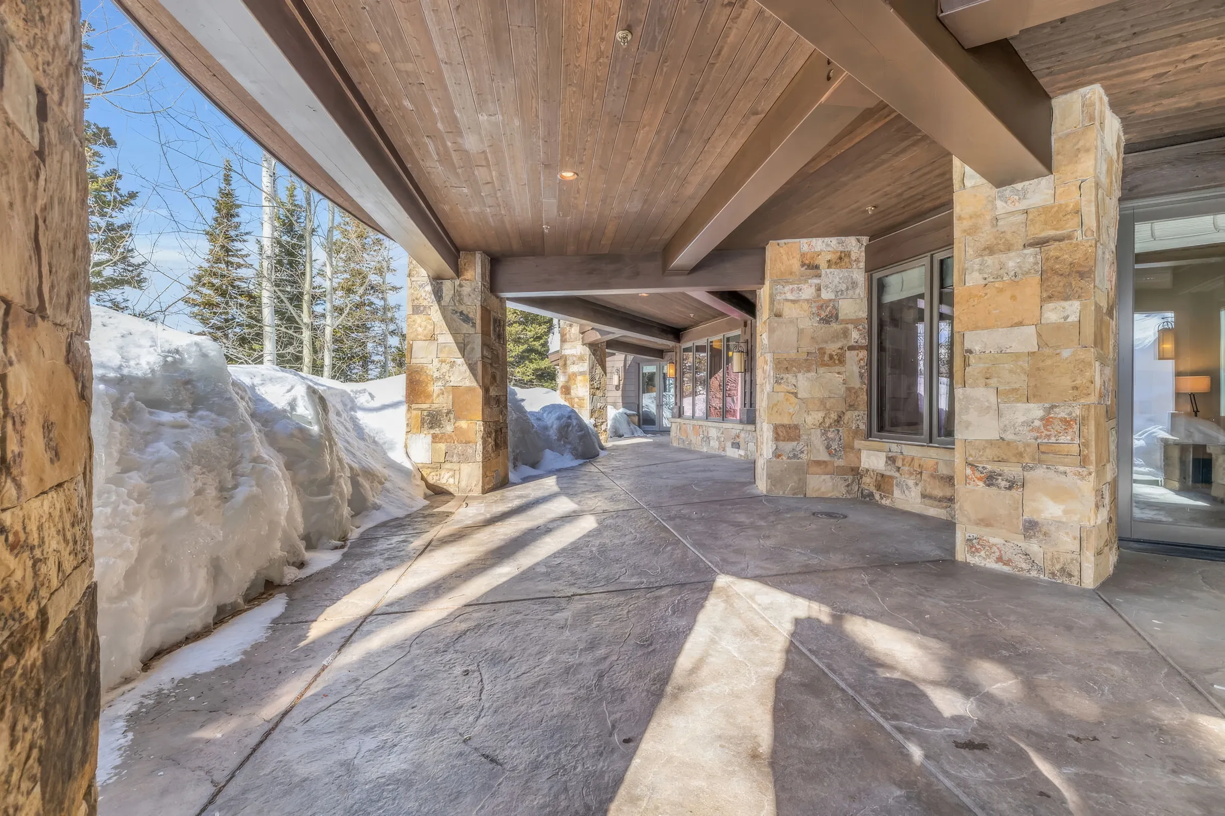 SnowMeadow #35