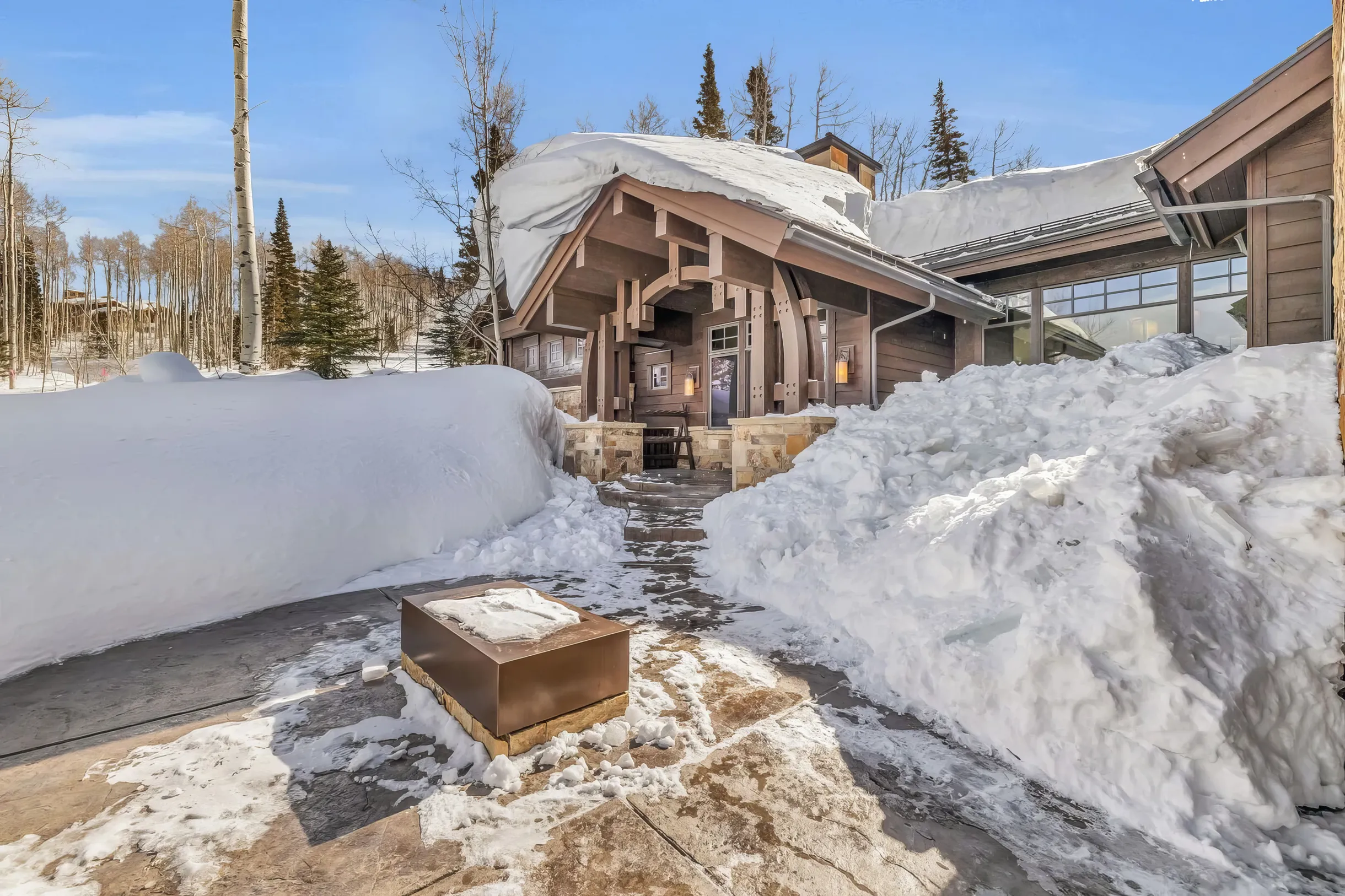 SnowMeadow #45