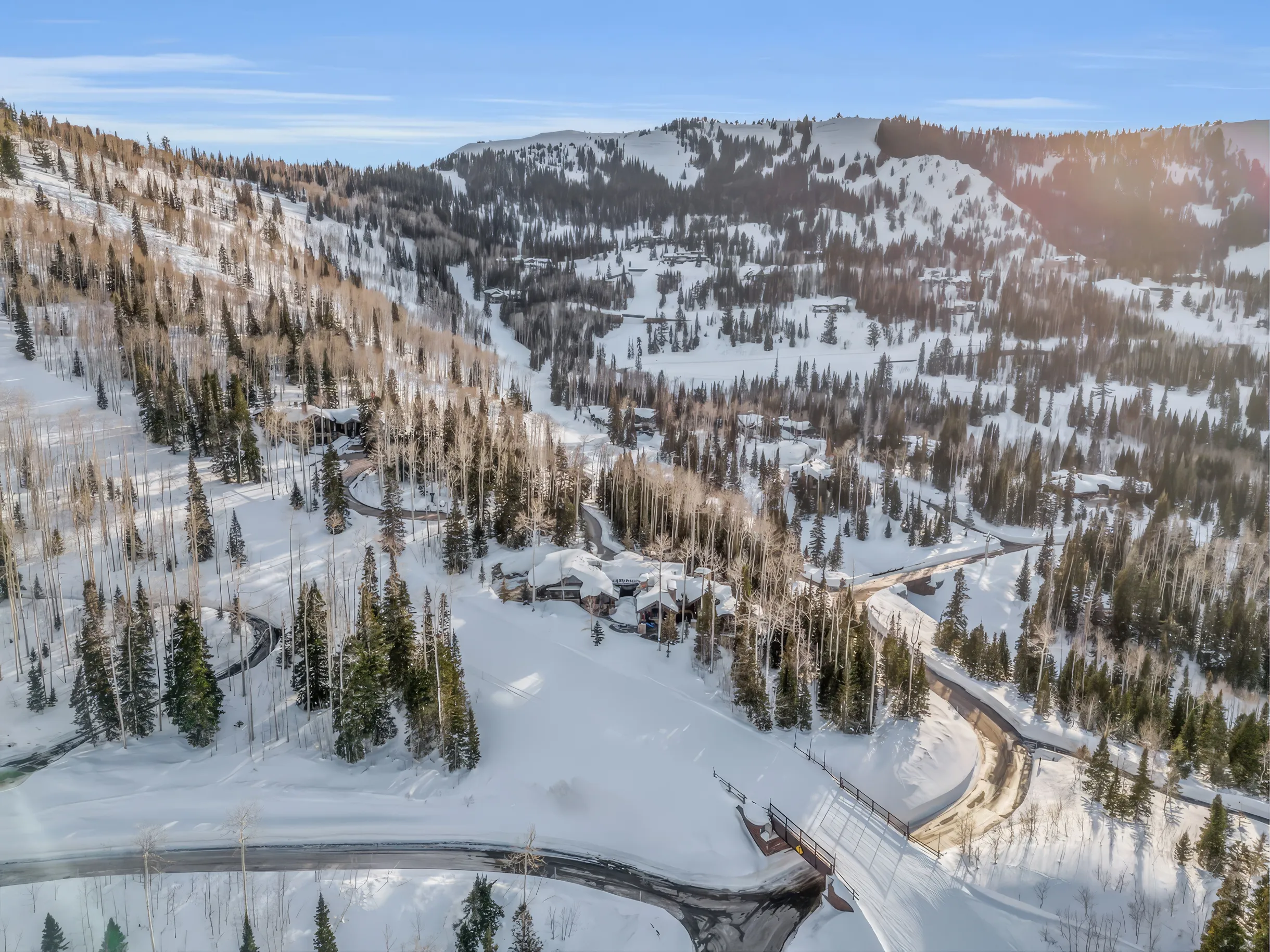 SnowMeadow #56