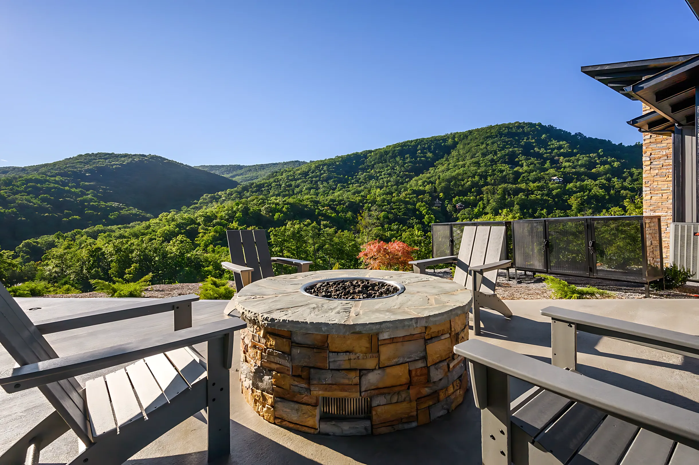 Wander Pigeon Vista #68