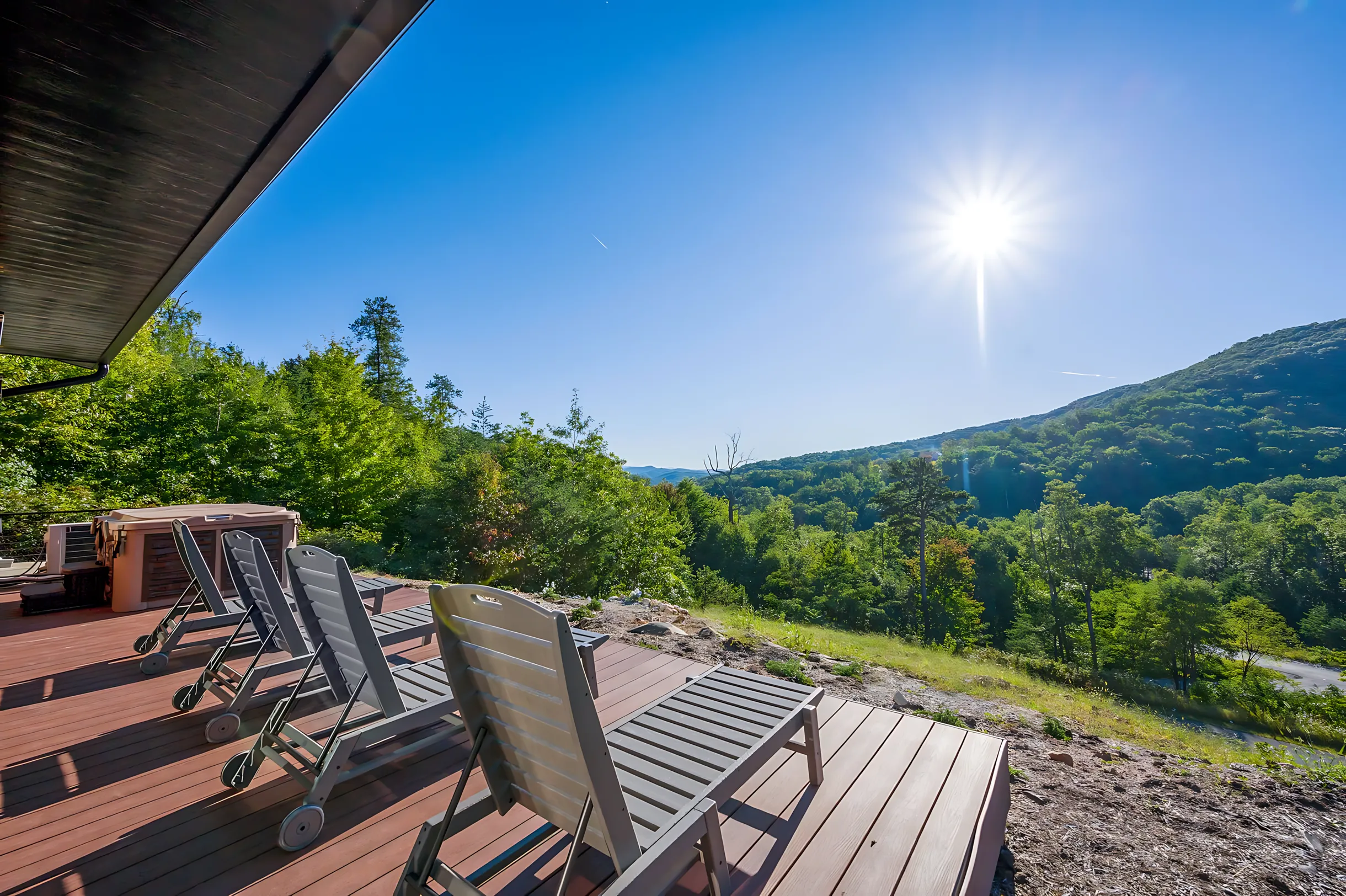 Wander Pigeon Vista #60