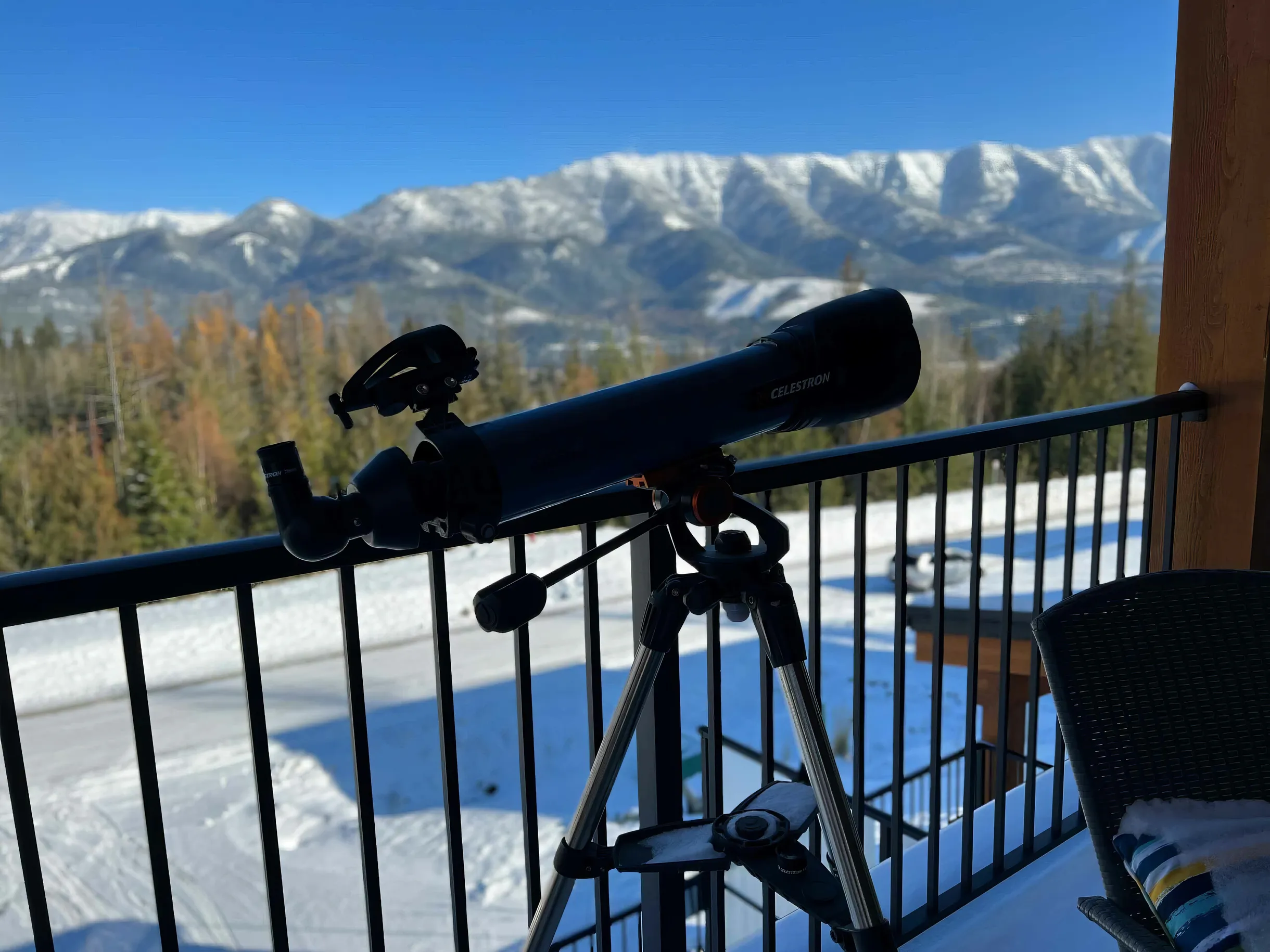 Wander Fernie Timber #29