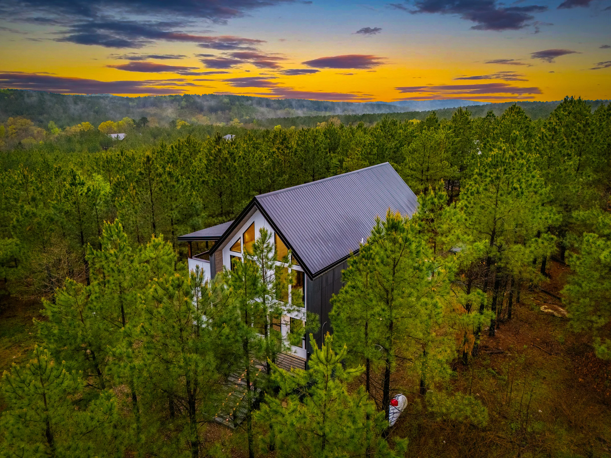 Wander Broken Bow Forest #55