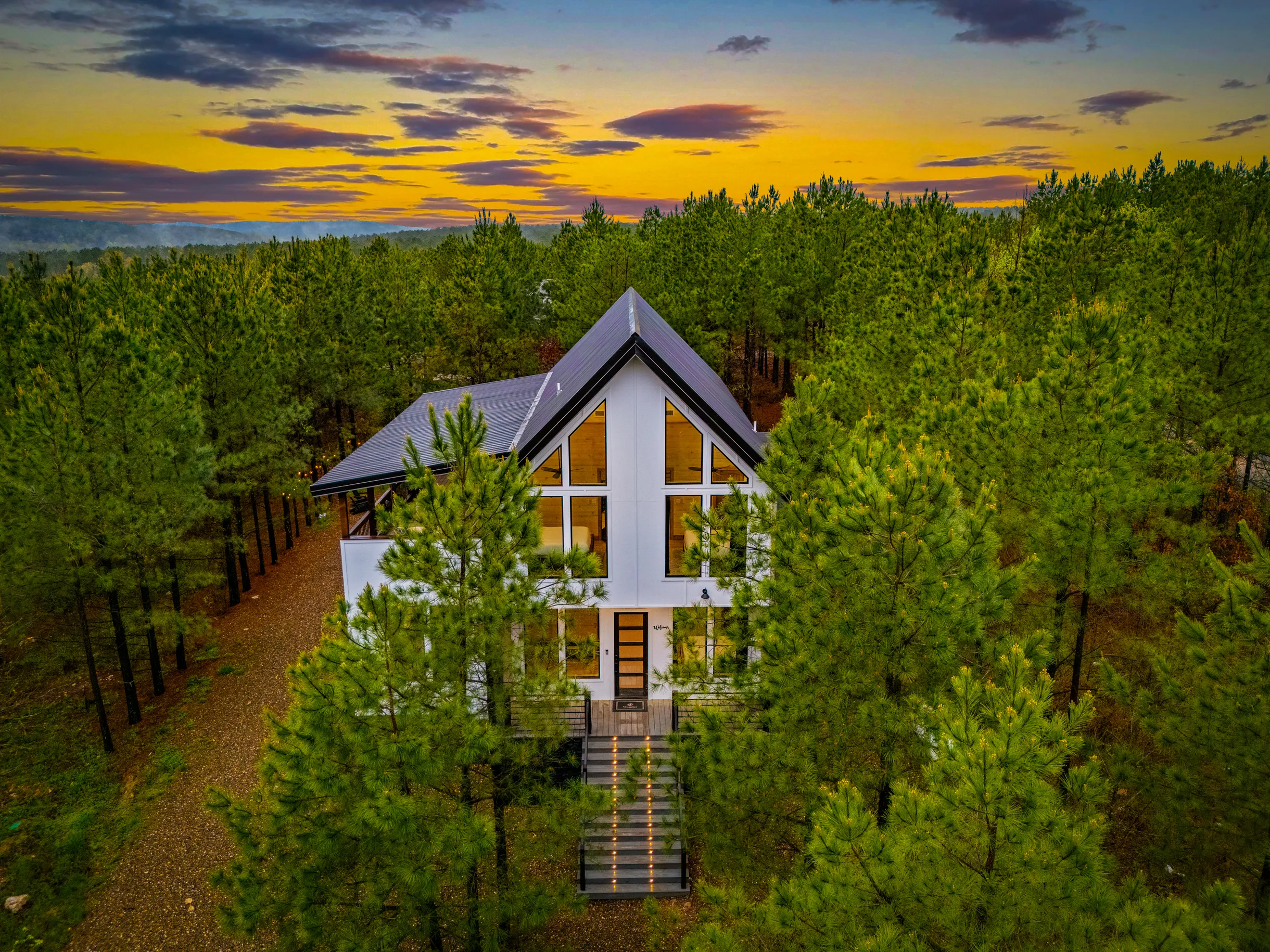 Wander Broken Bow Forest #71