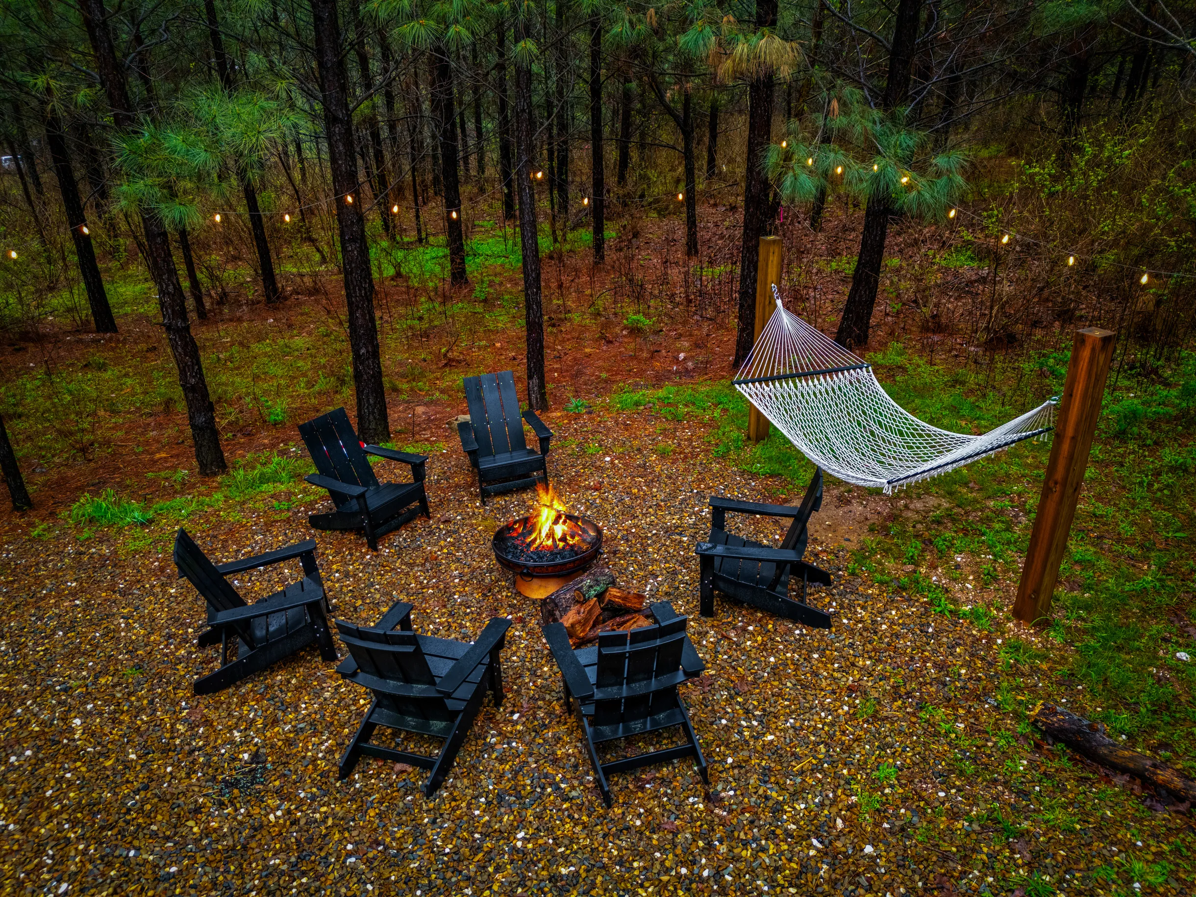 Wander Broken Bow Forest #38
