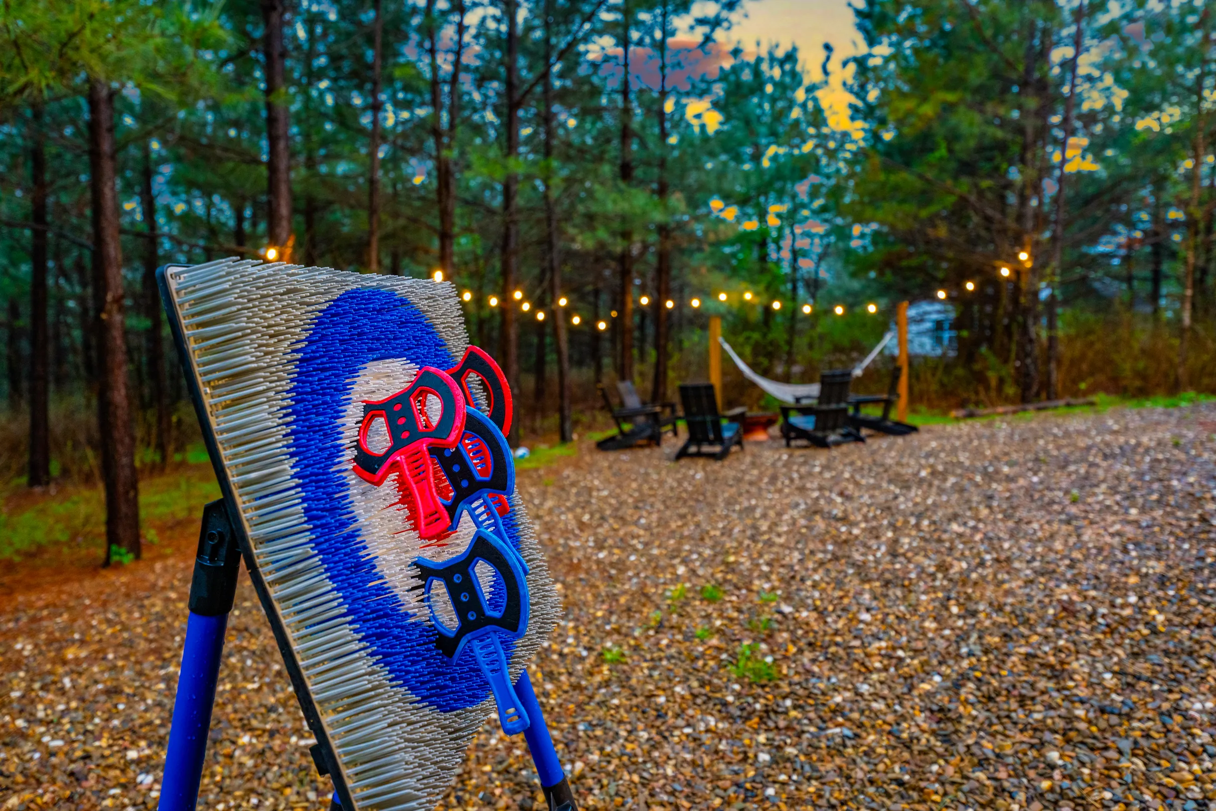 Wander Broken Bow Forest #72