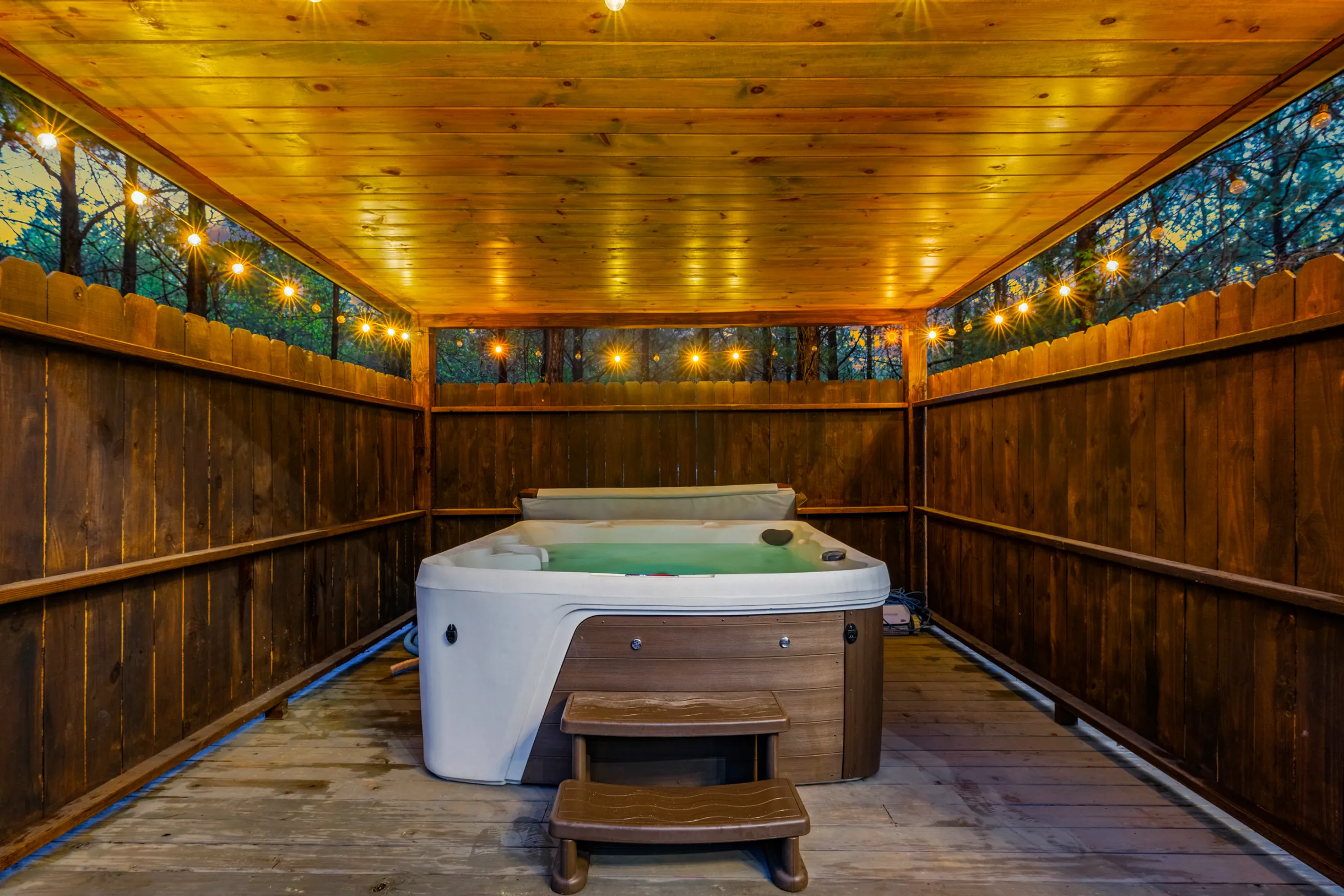 Wander Broken Bow Forest #39