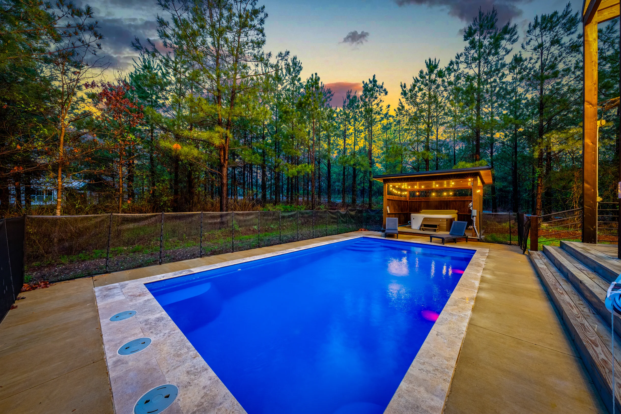 Wander Broken Bow Forest #73