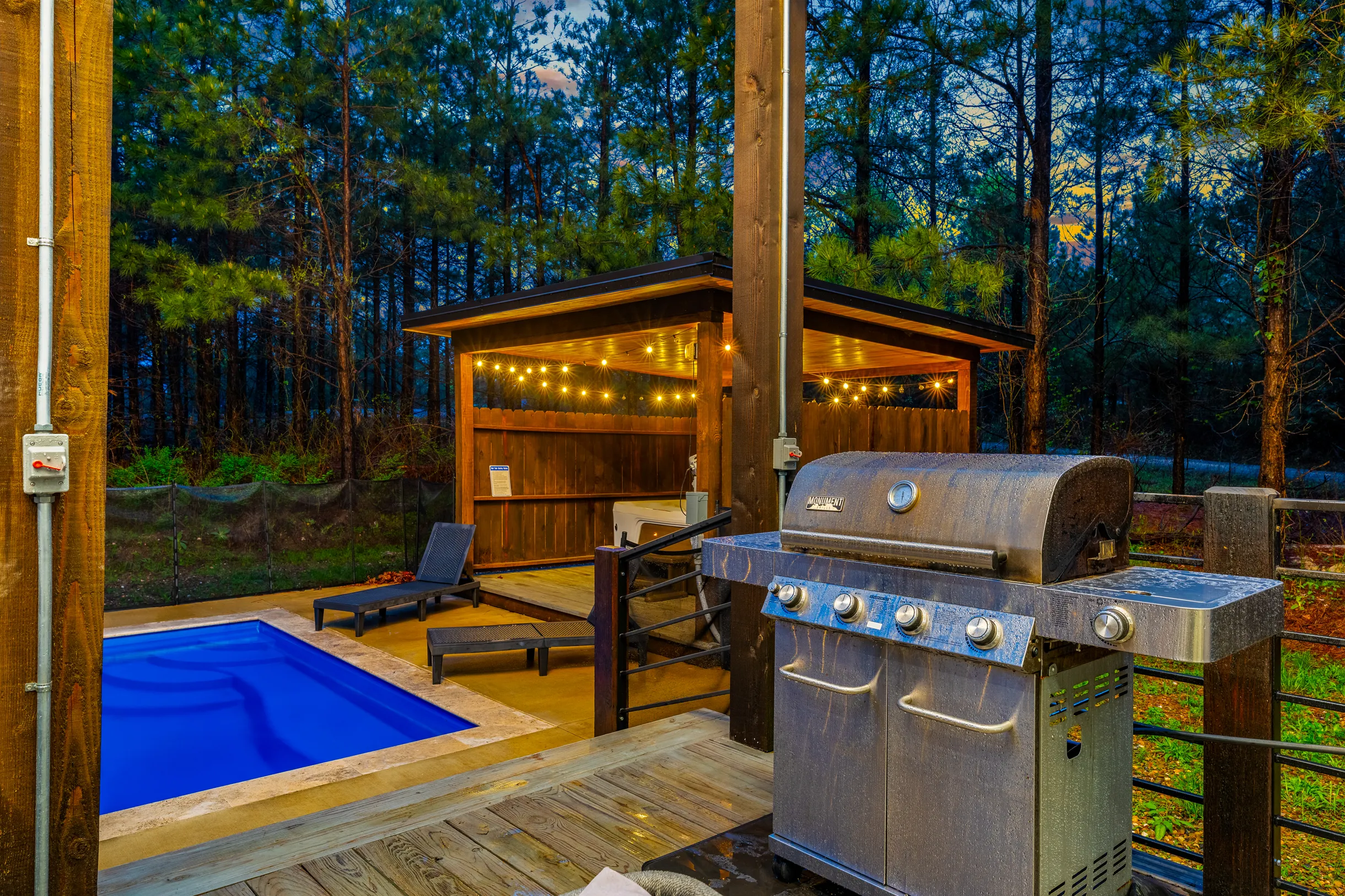 Wander Broken Bow Forest #58