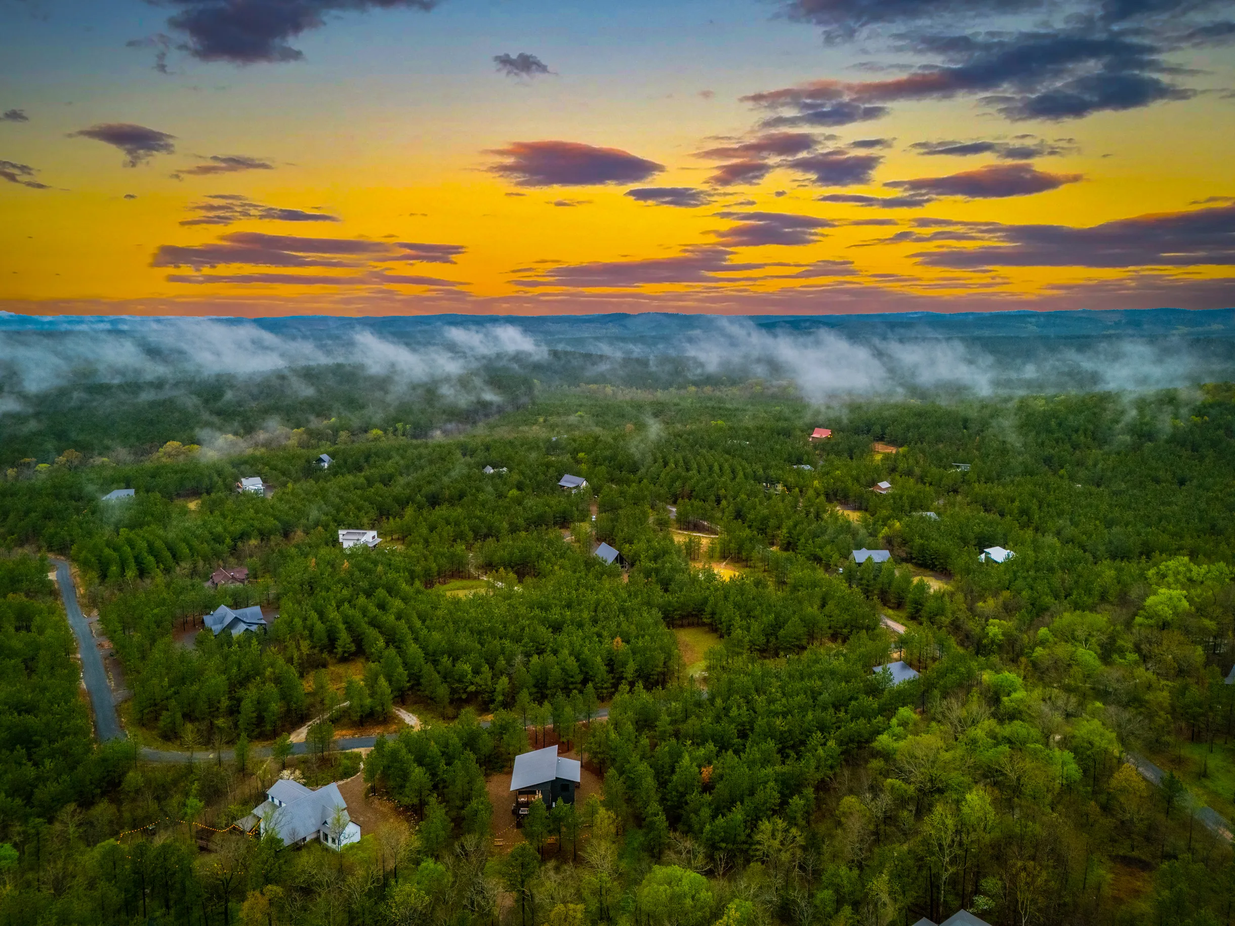 Wander Broken Bow Forest #98