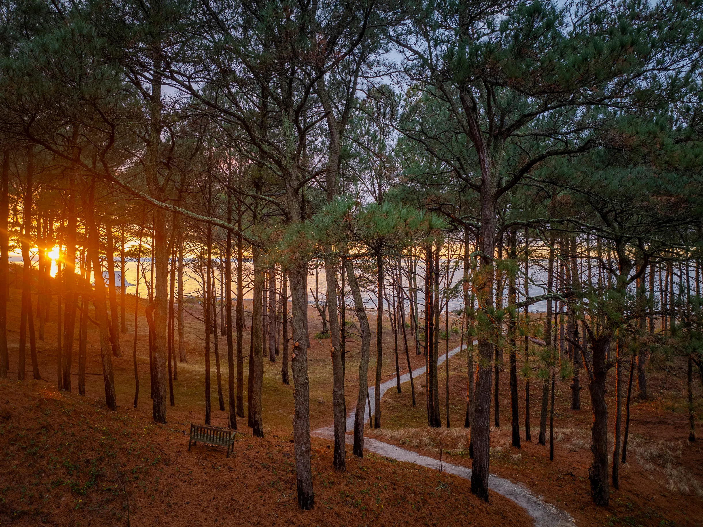 Wander Cape Charles #28