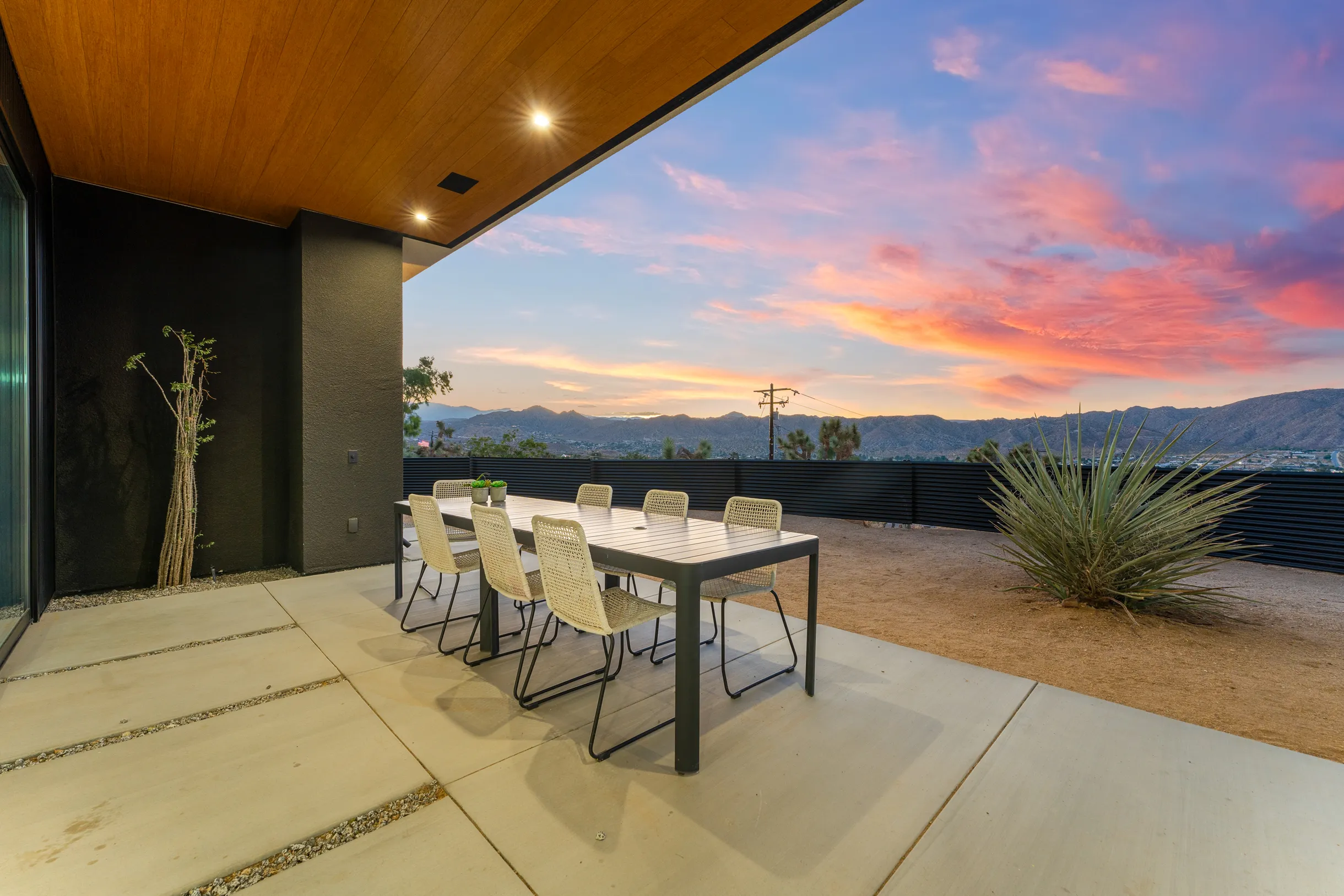 Wander Joshua Tree #35