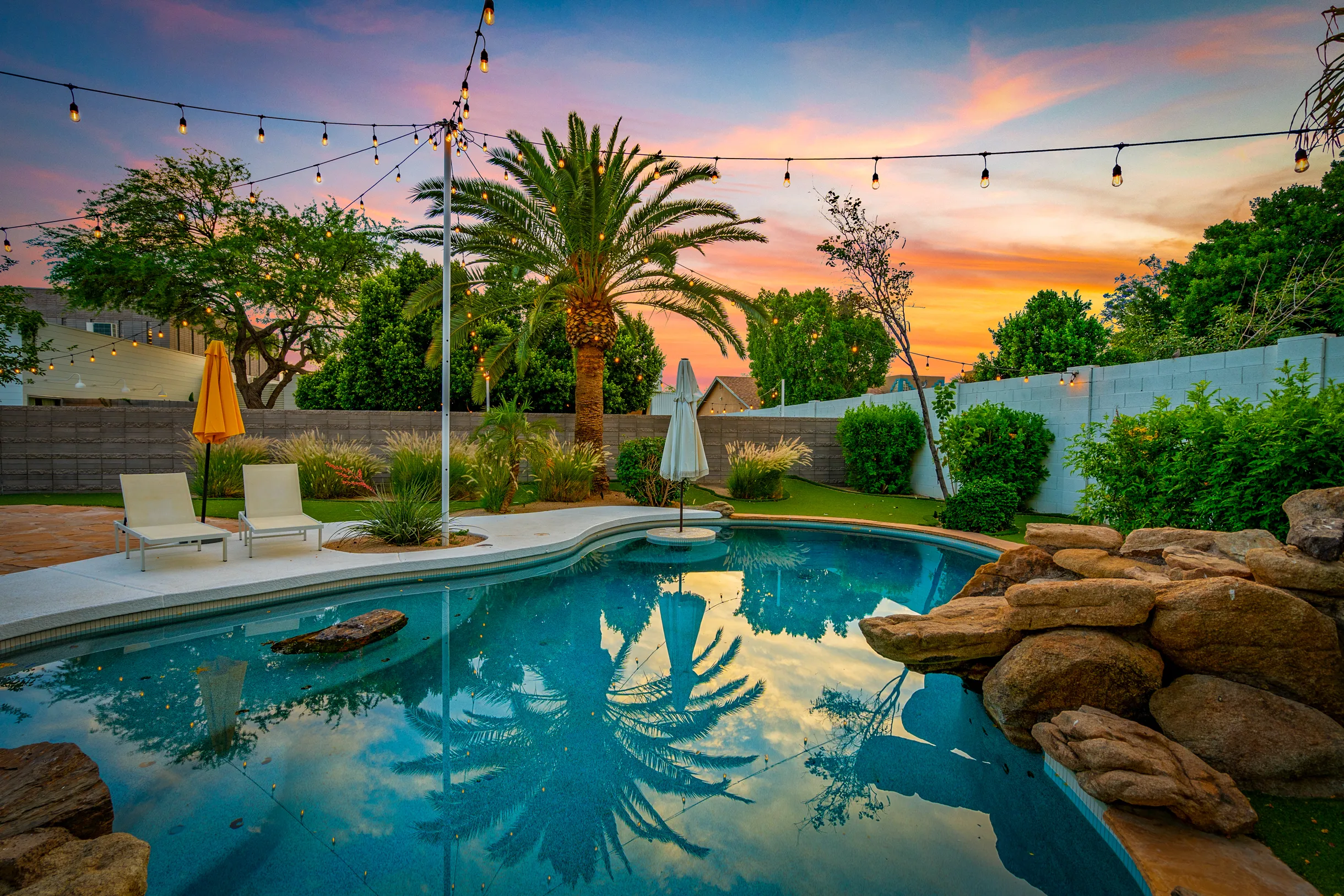 Wander Phoenix Ranch #81