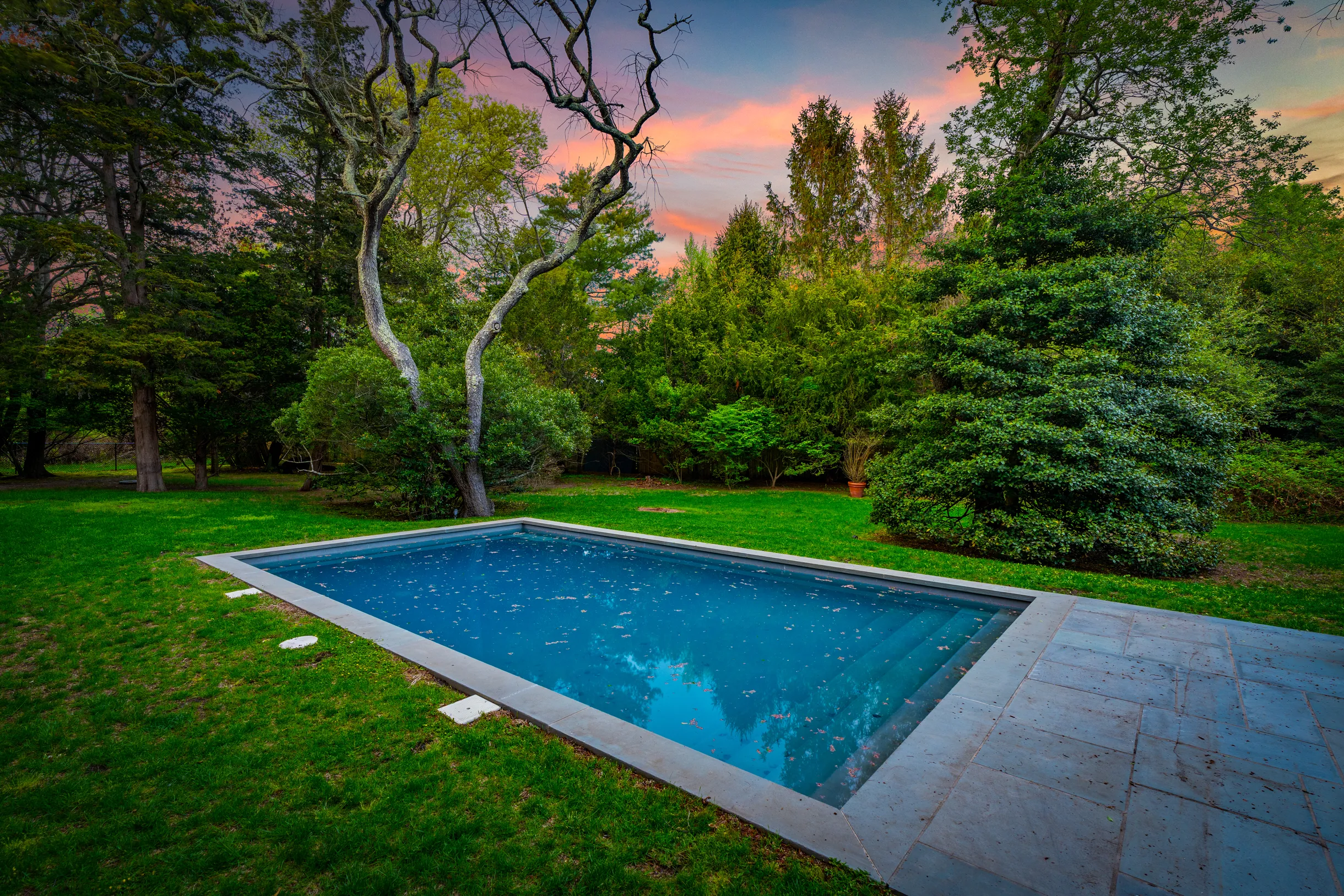 Wander Bellport Park #43