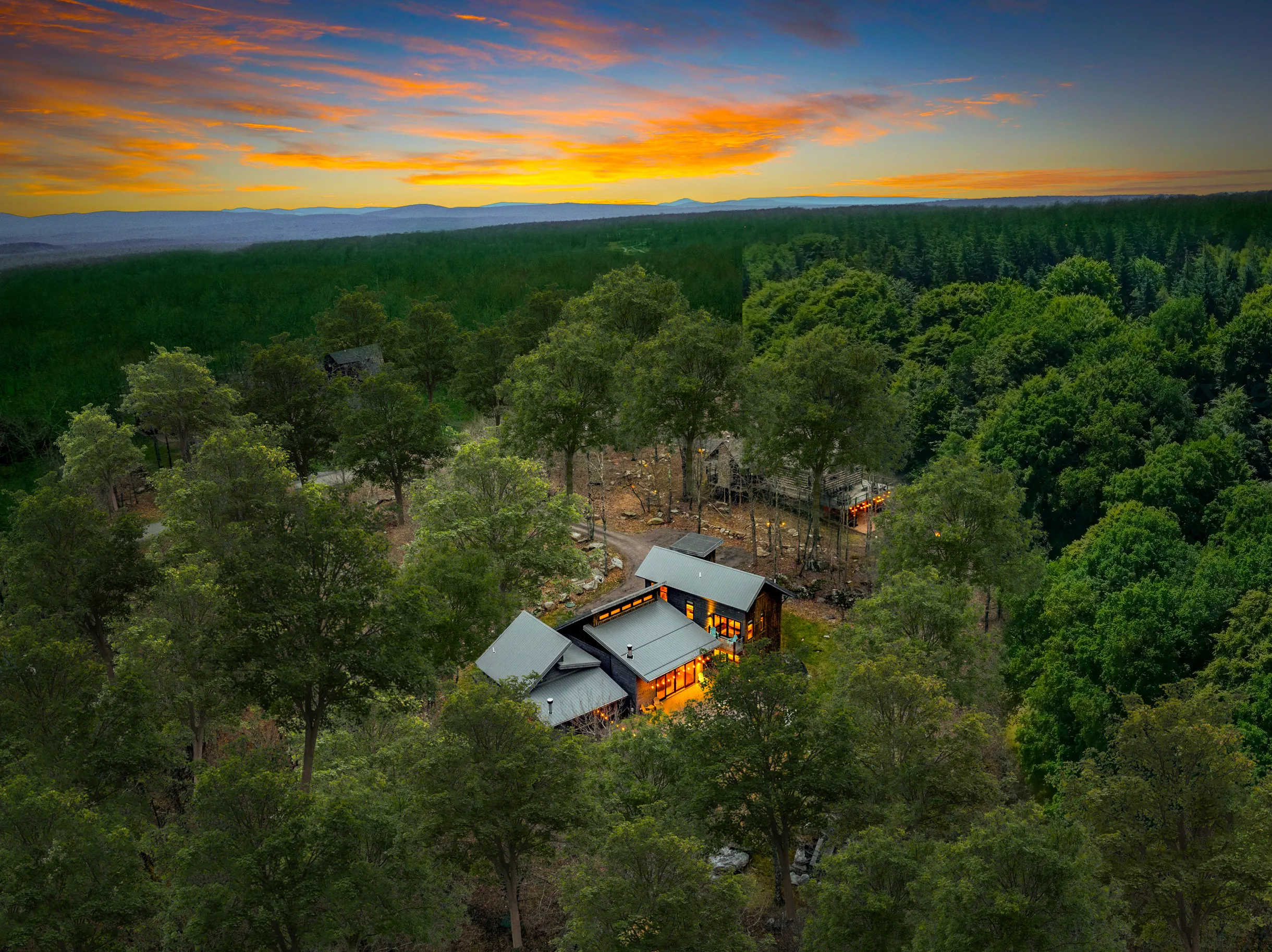 Wander Fern Hollow #68