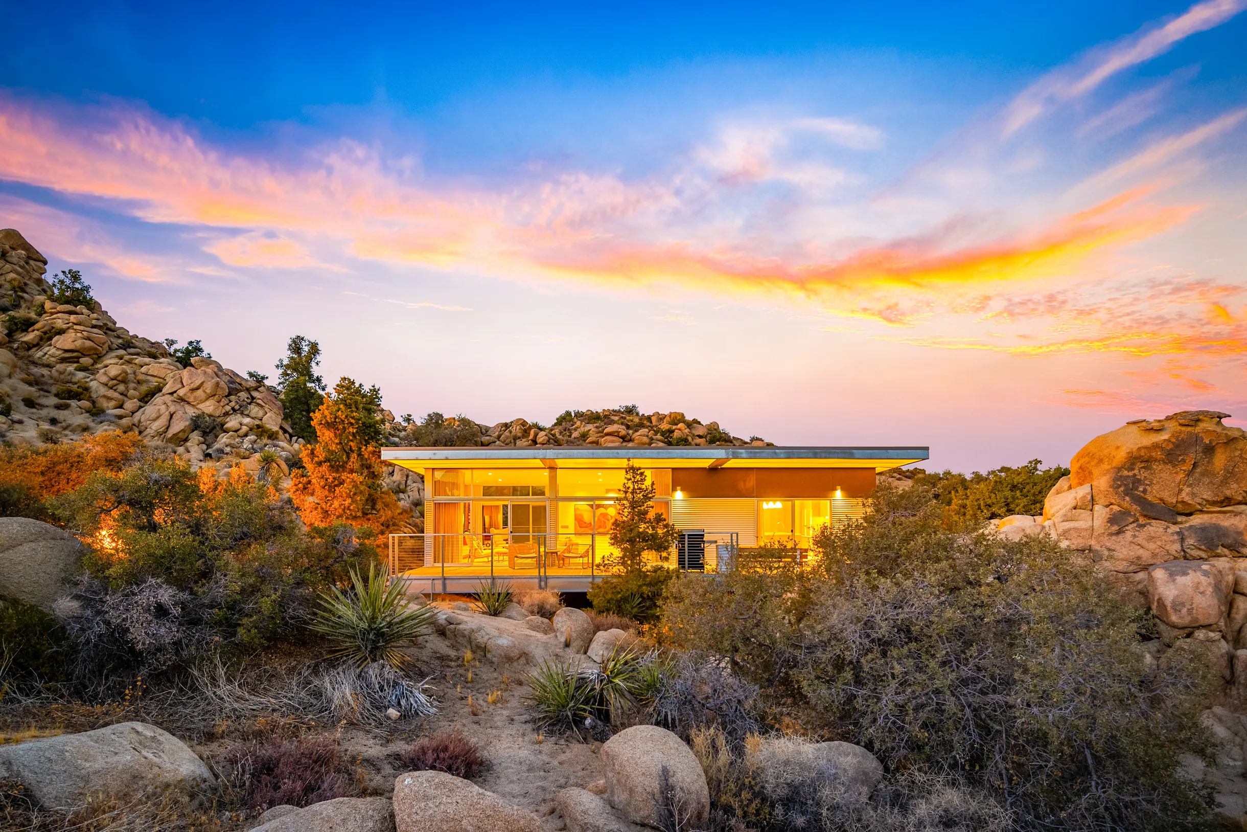 Wander Yucca Valley #5