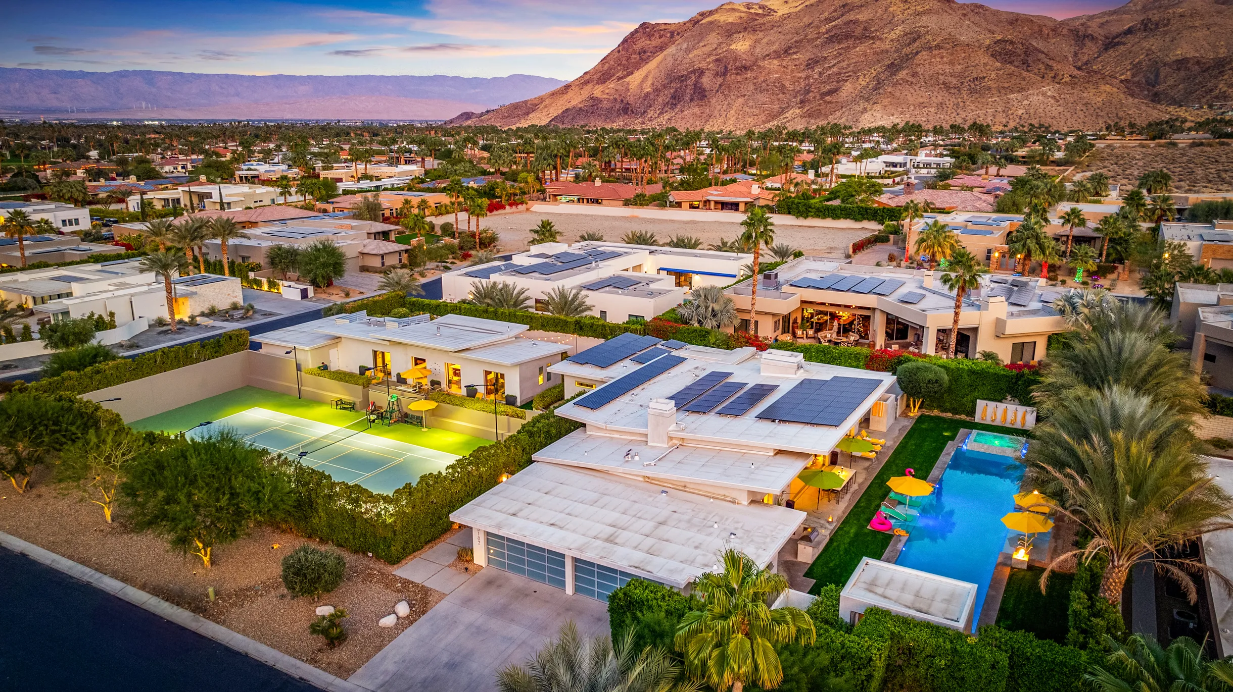 Wander Five Palms #84