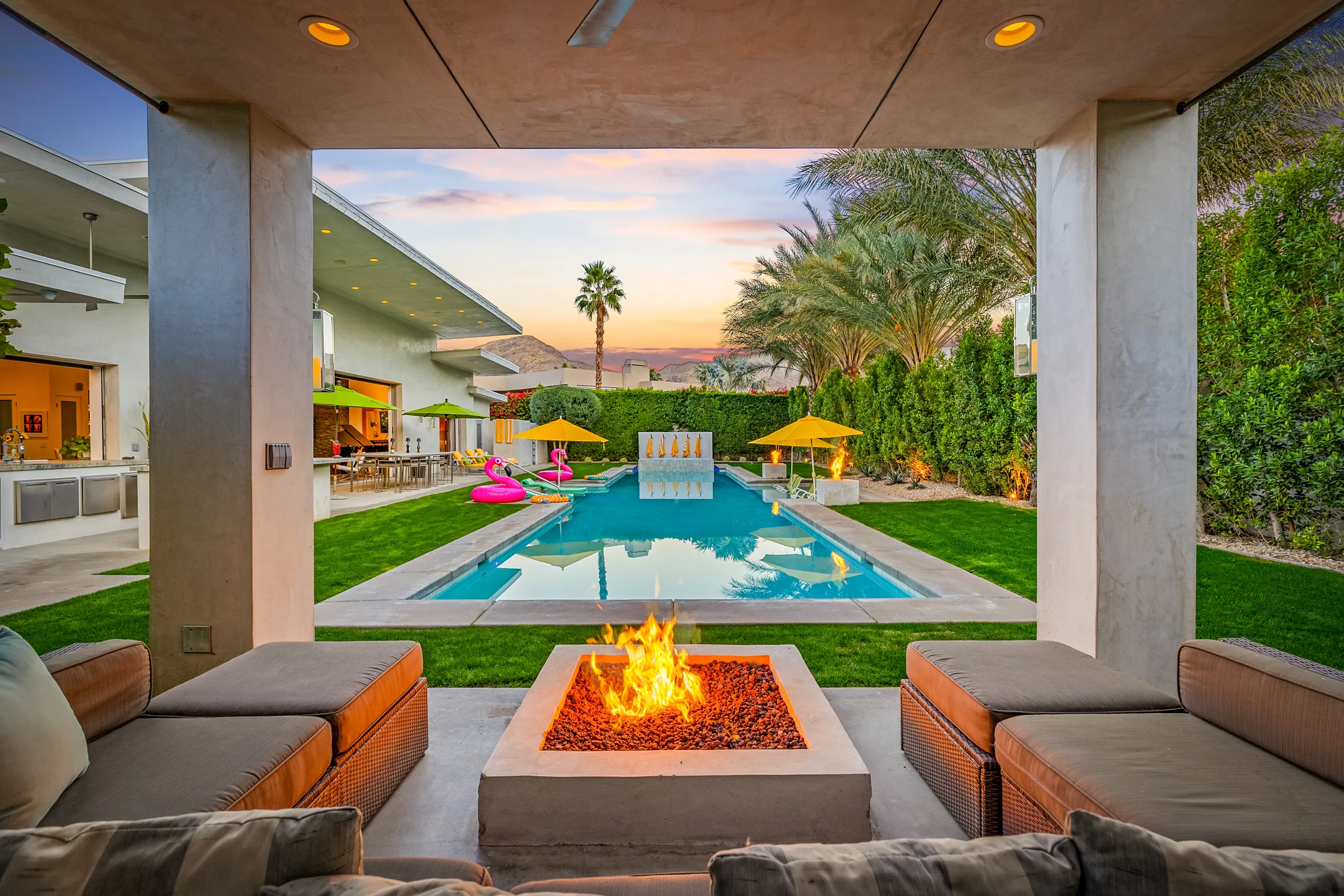 Wander Five Palms #51