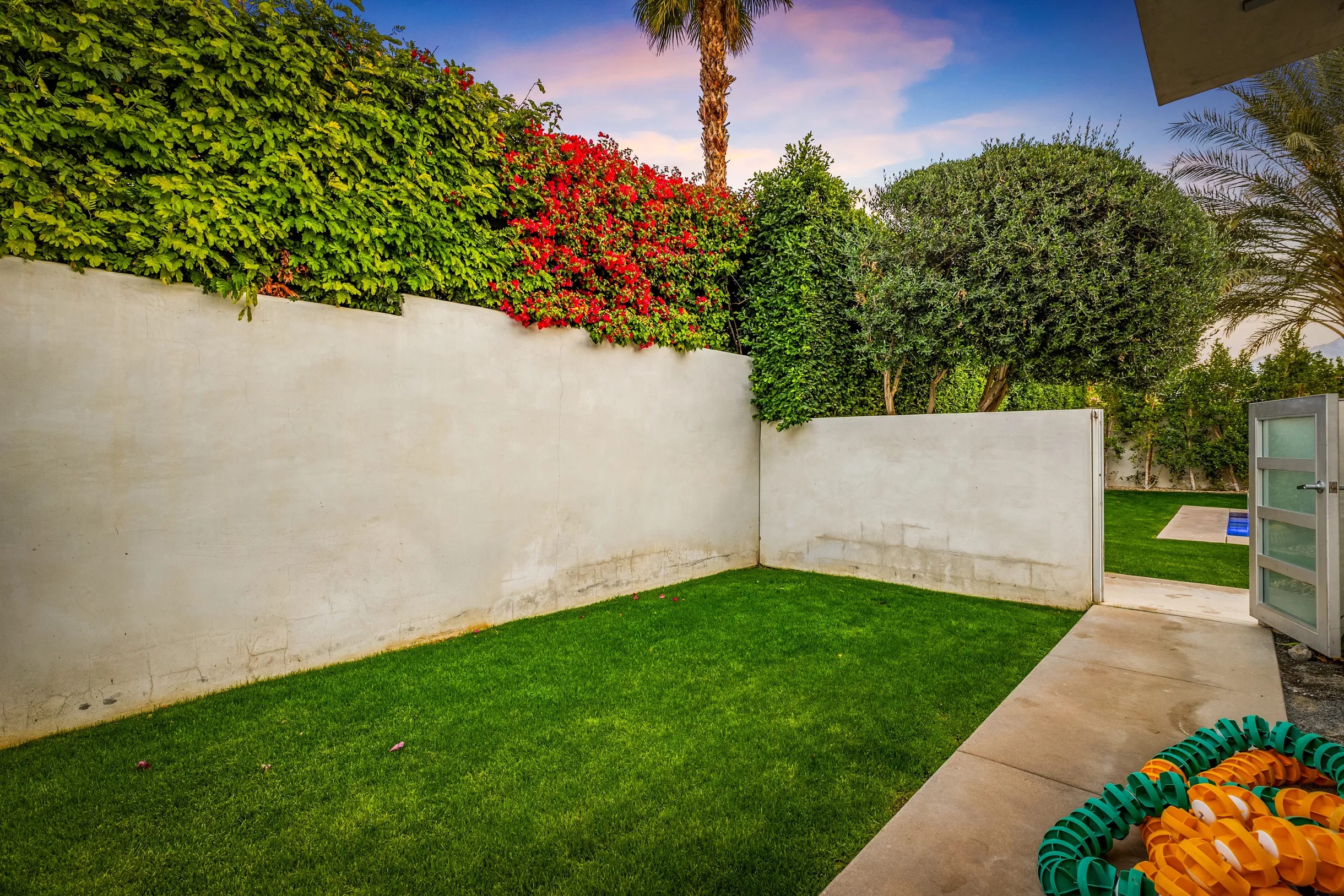 Wander Five Palms #98