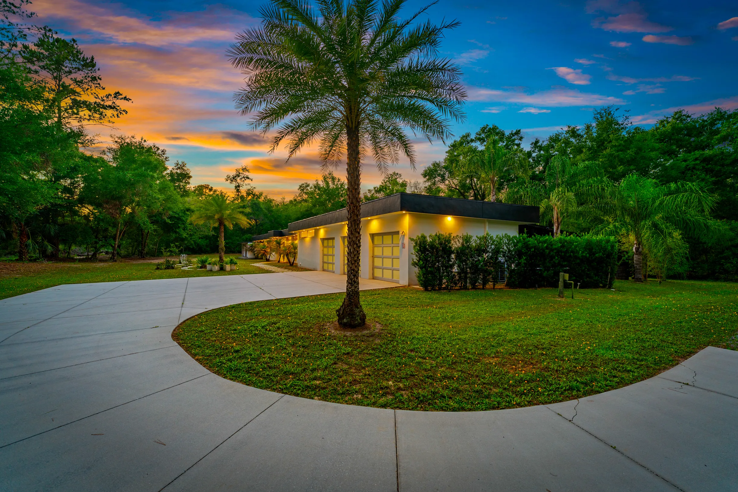 Wander Floral City Oasis #48