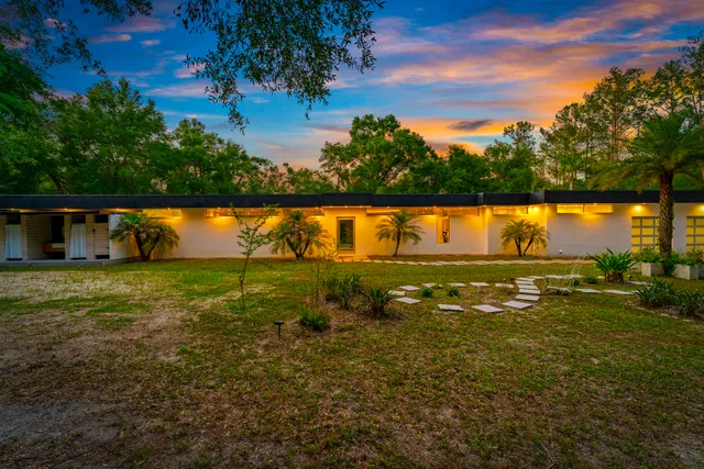 Wander Floral City Oasis #5