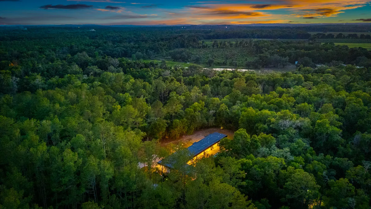 Wander Floral City Oasis