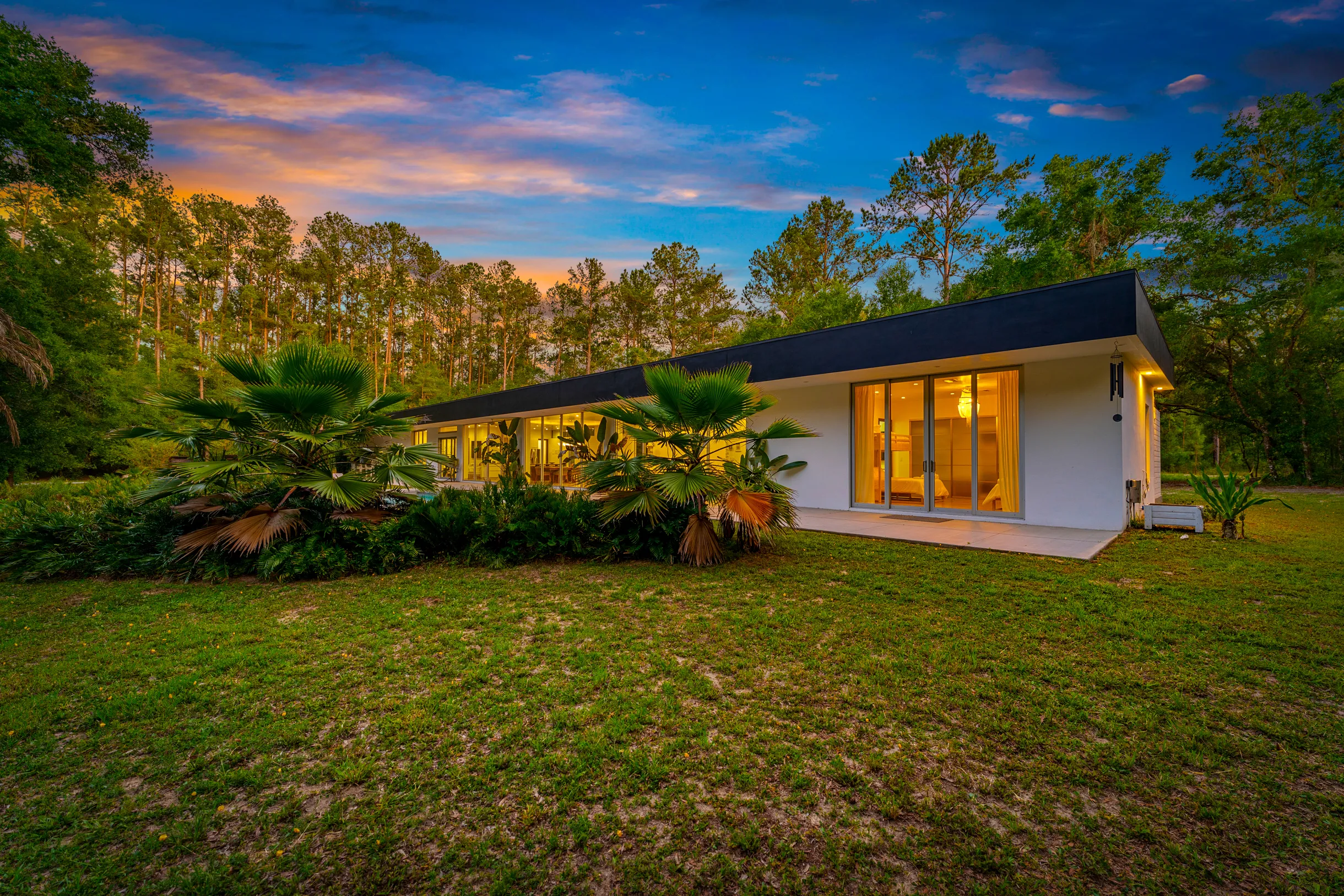 Wander Floral City Oasis #55